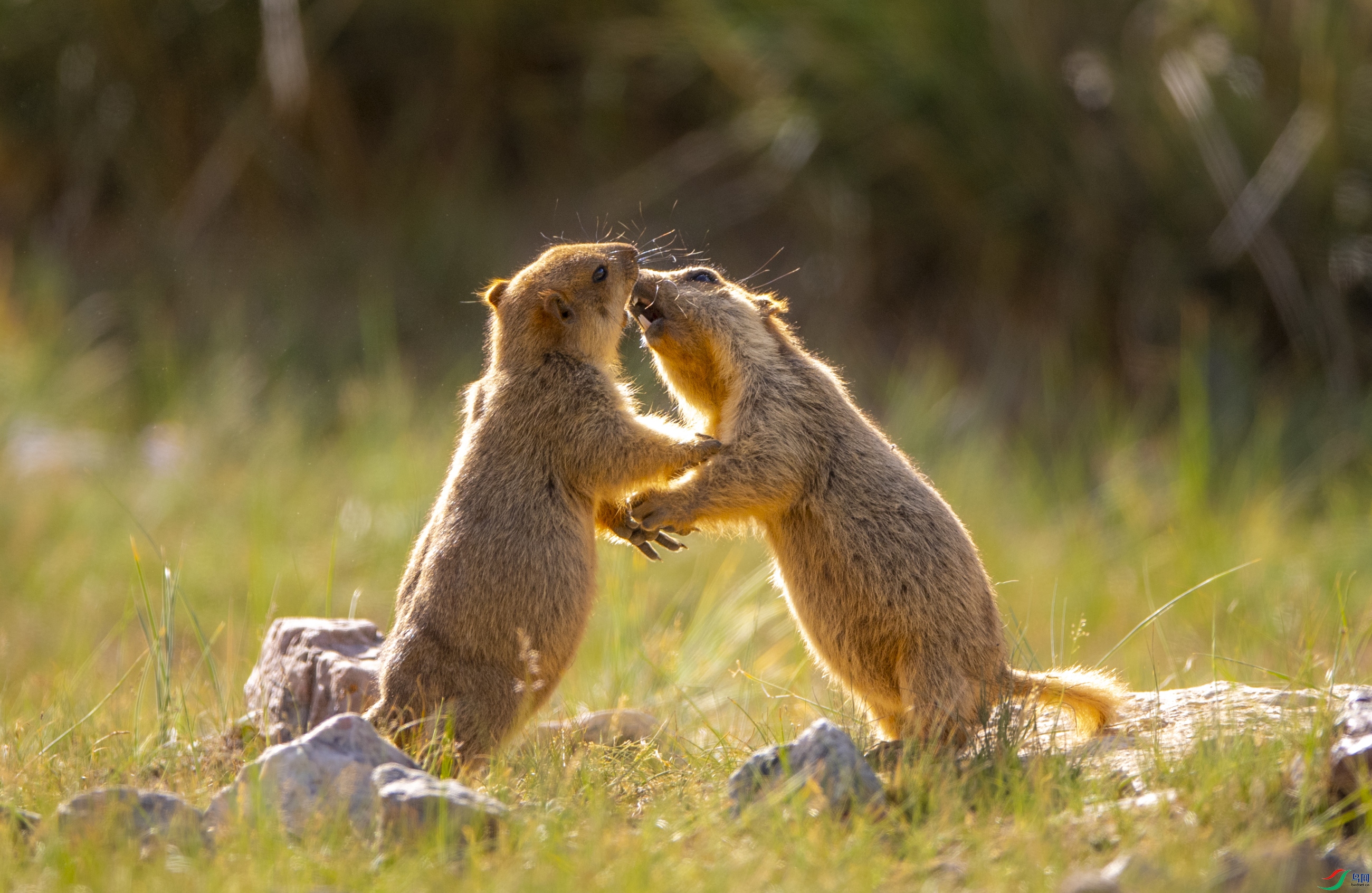 DSC_7191��һ��.JPG