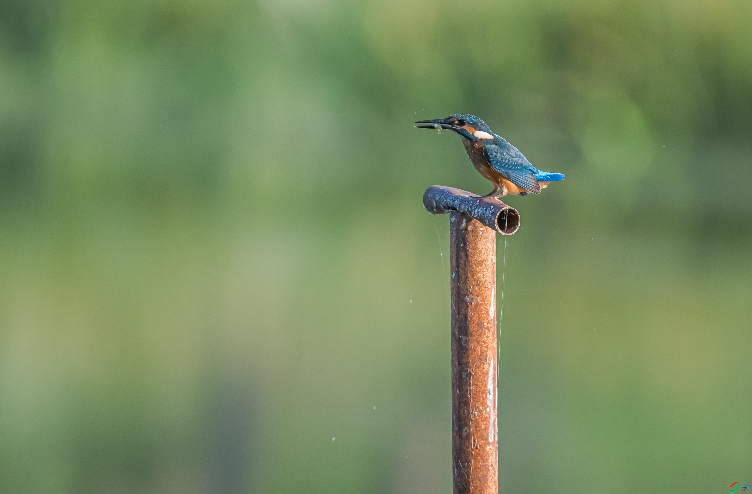 DSC_5843.jpg