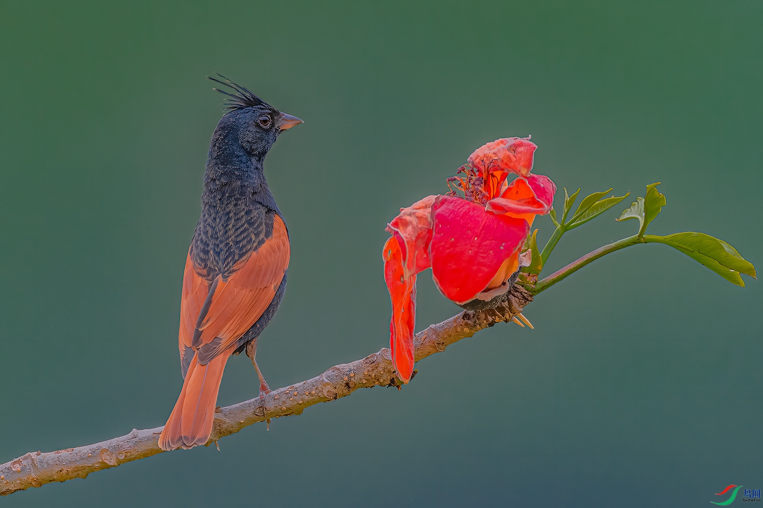 _DSC6475-1.jpg