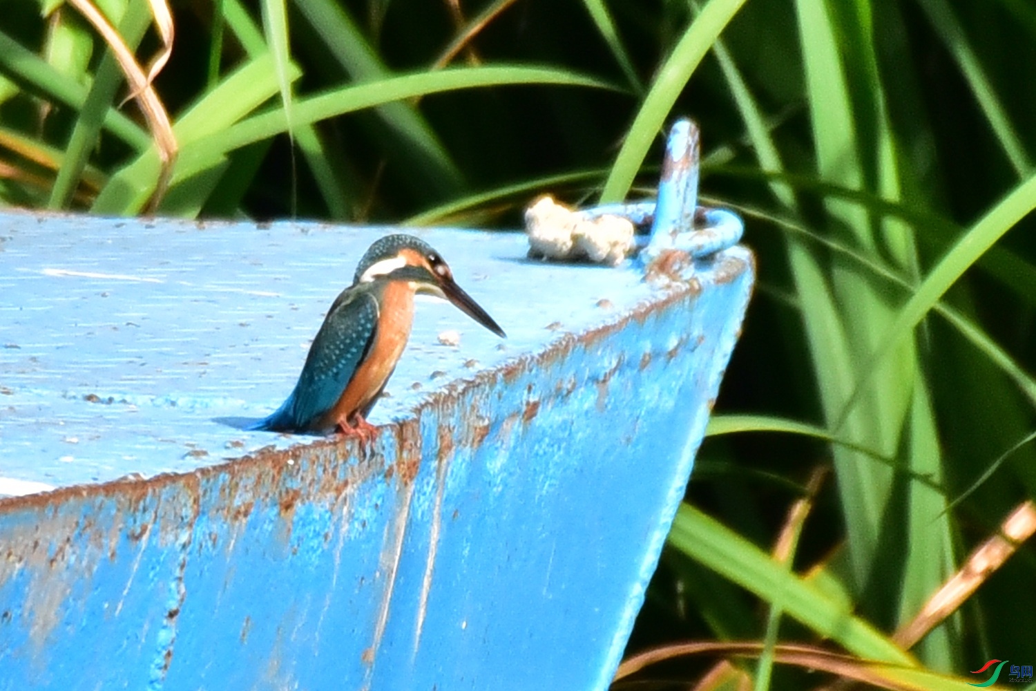 DSC_0607.JPG