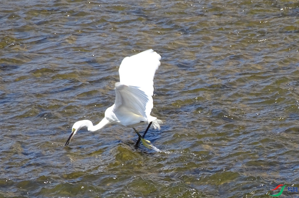 DSC00340_����.jpg
