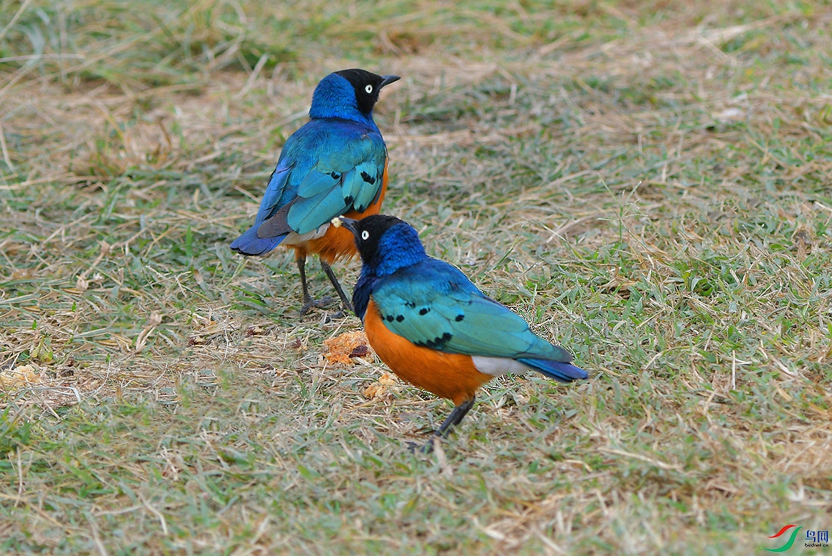 DSC_4364.JPG