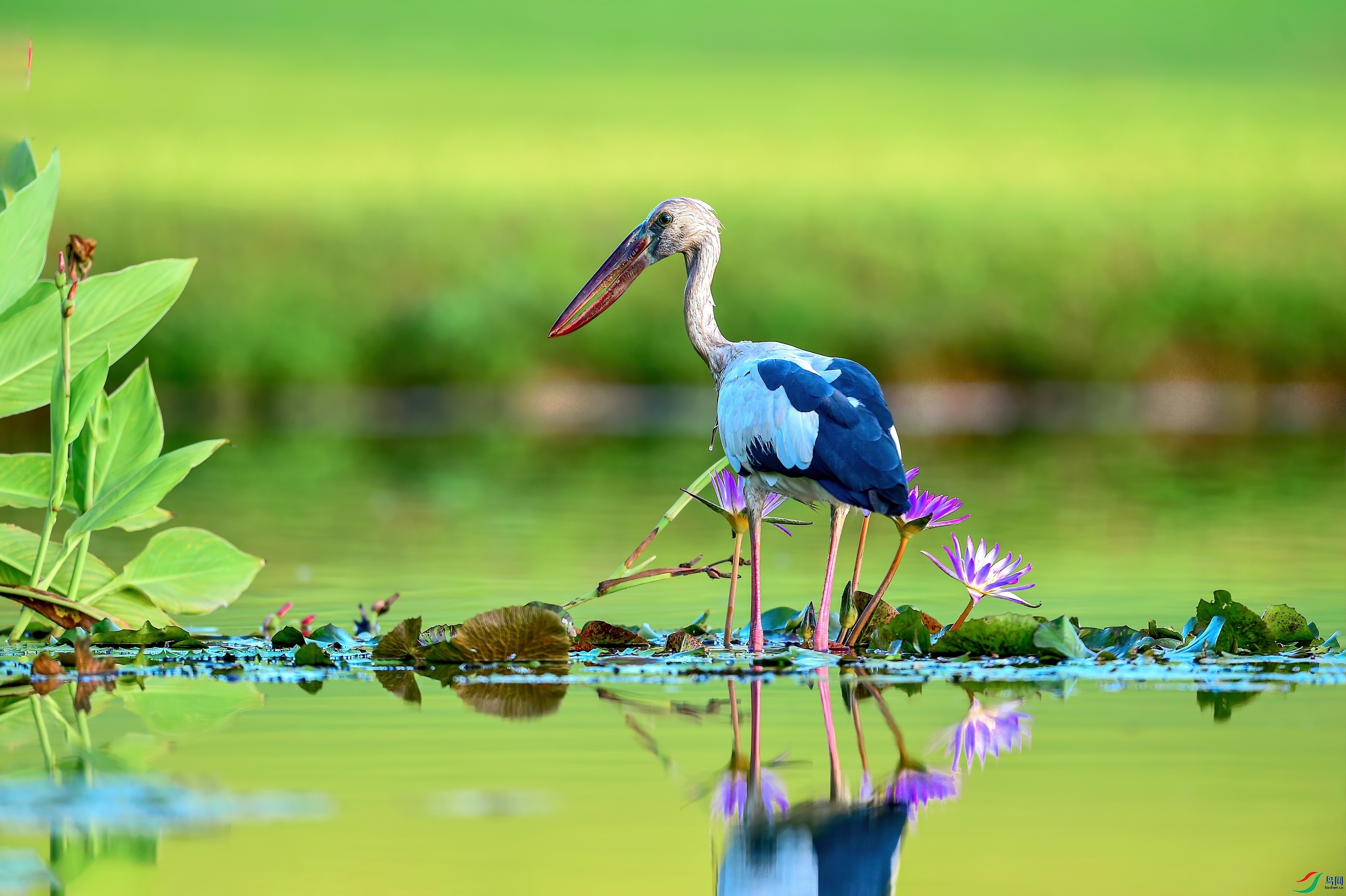 ��ƬDSC_0646.jpg