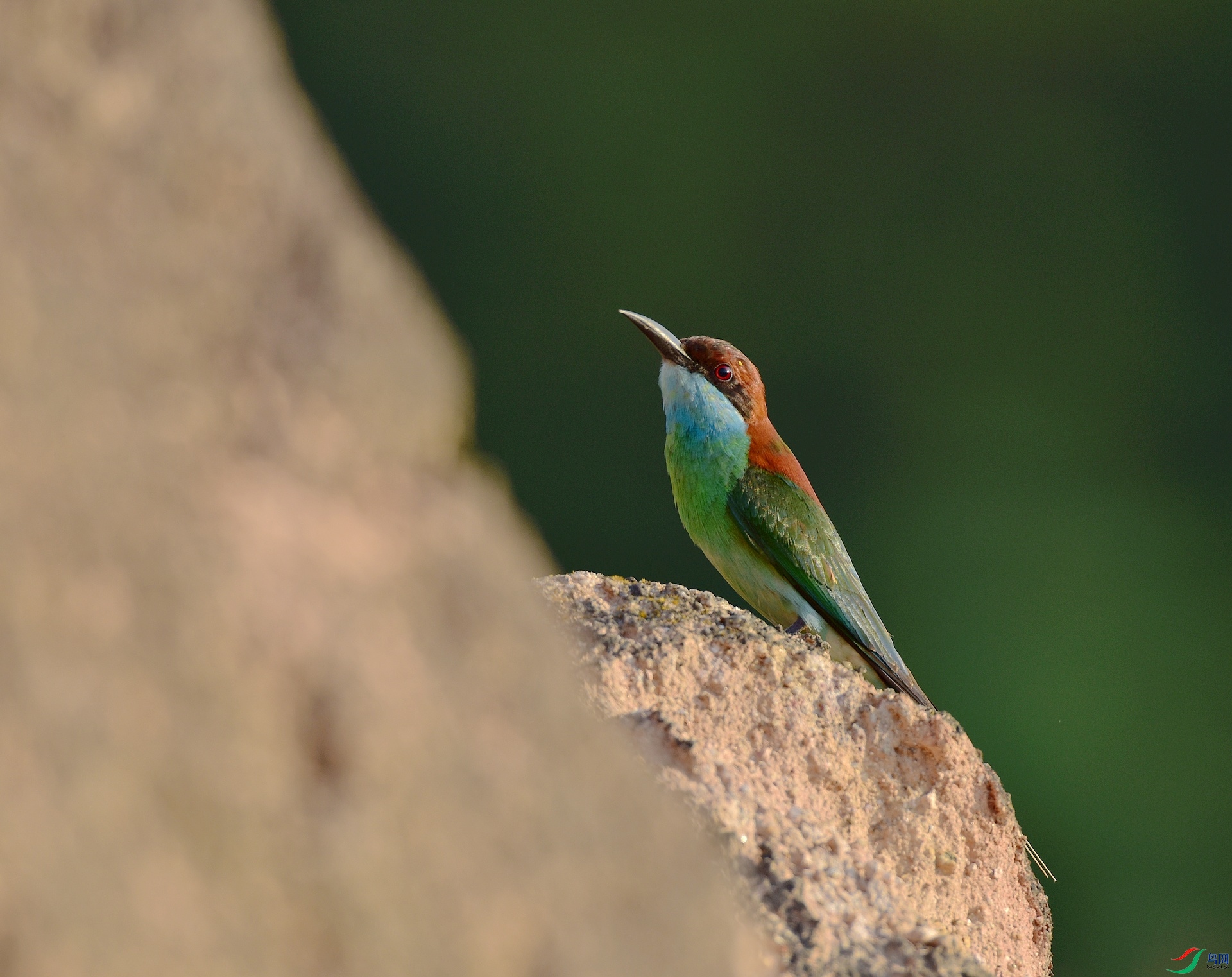 D8I_5565.jpg