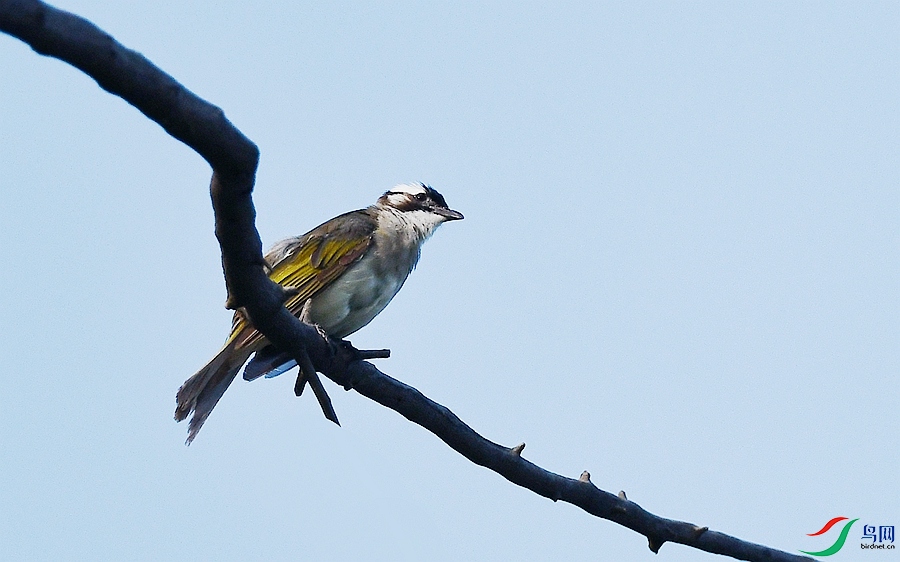 DSC_4185.JPG