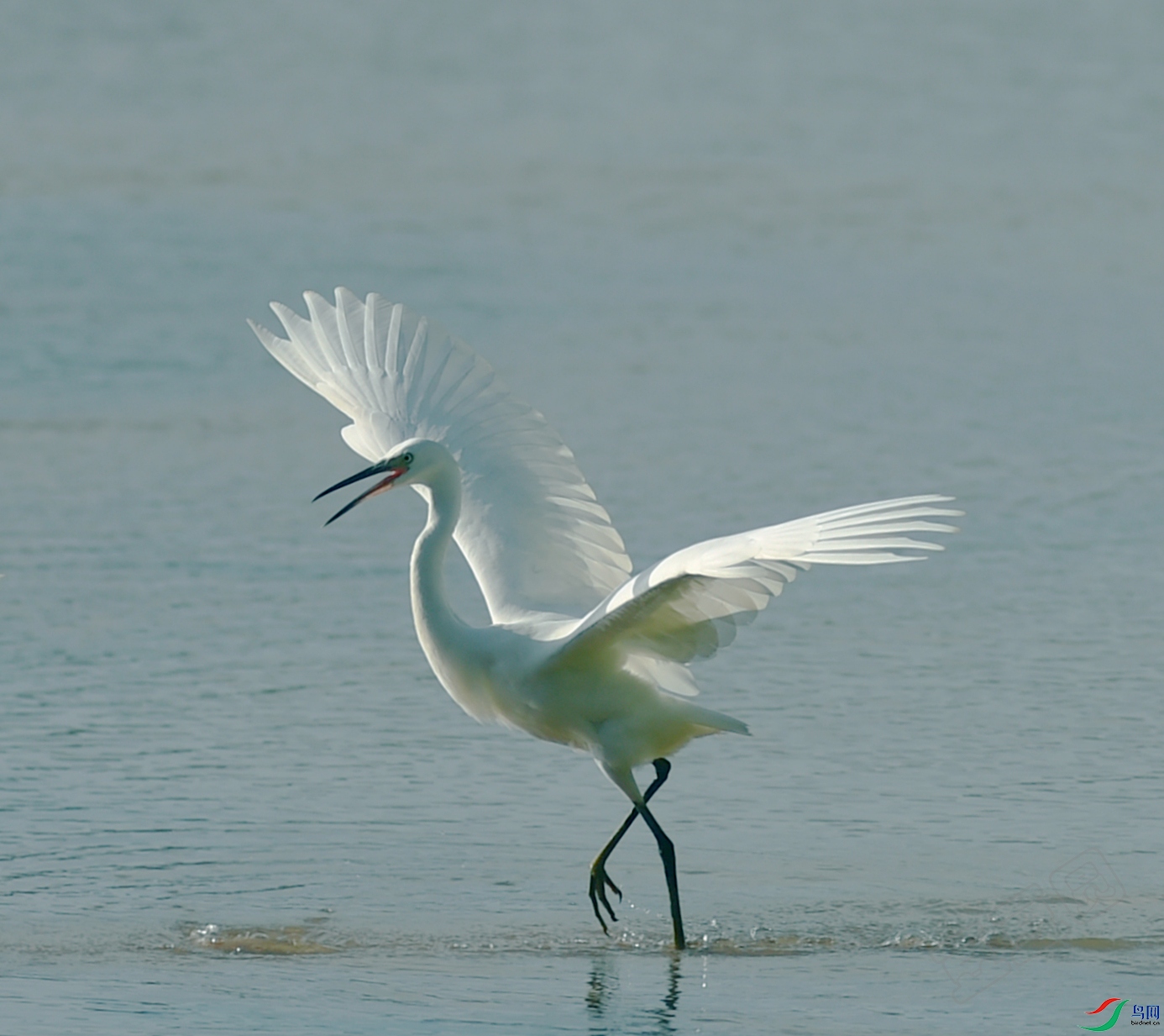 _DSC8091_.jpg