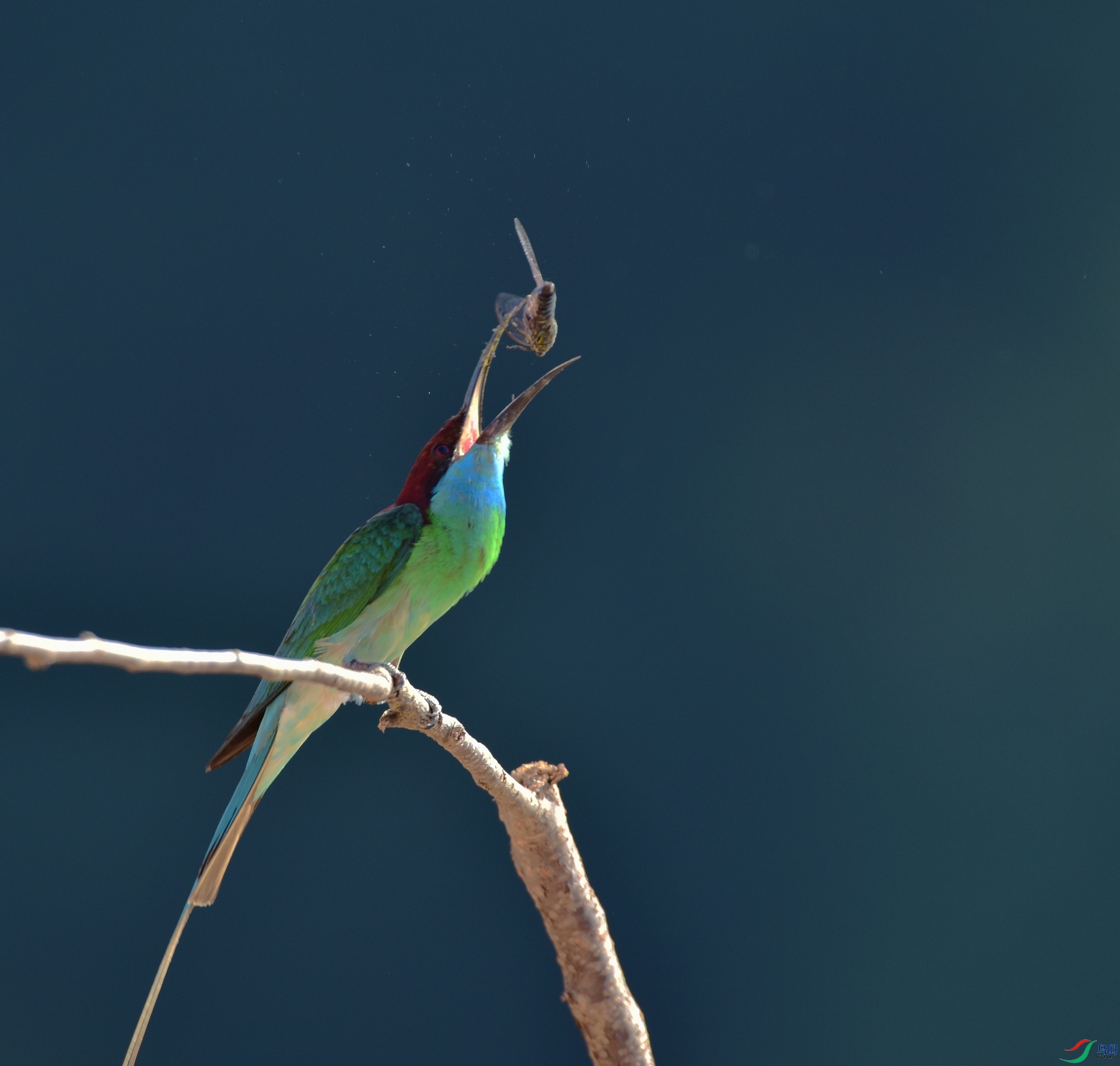 D8I_6165.jpg