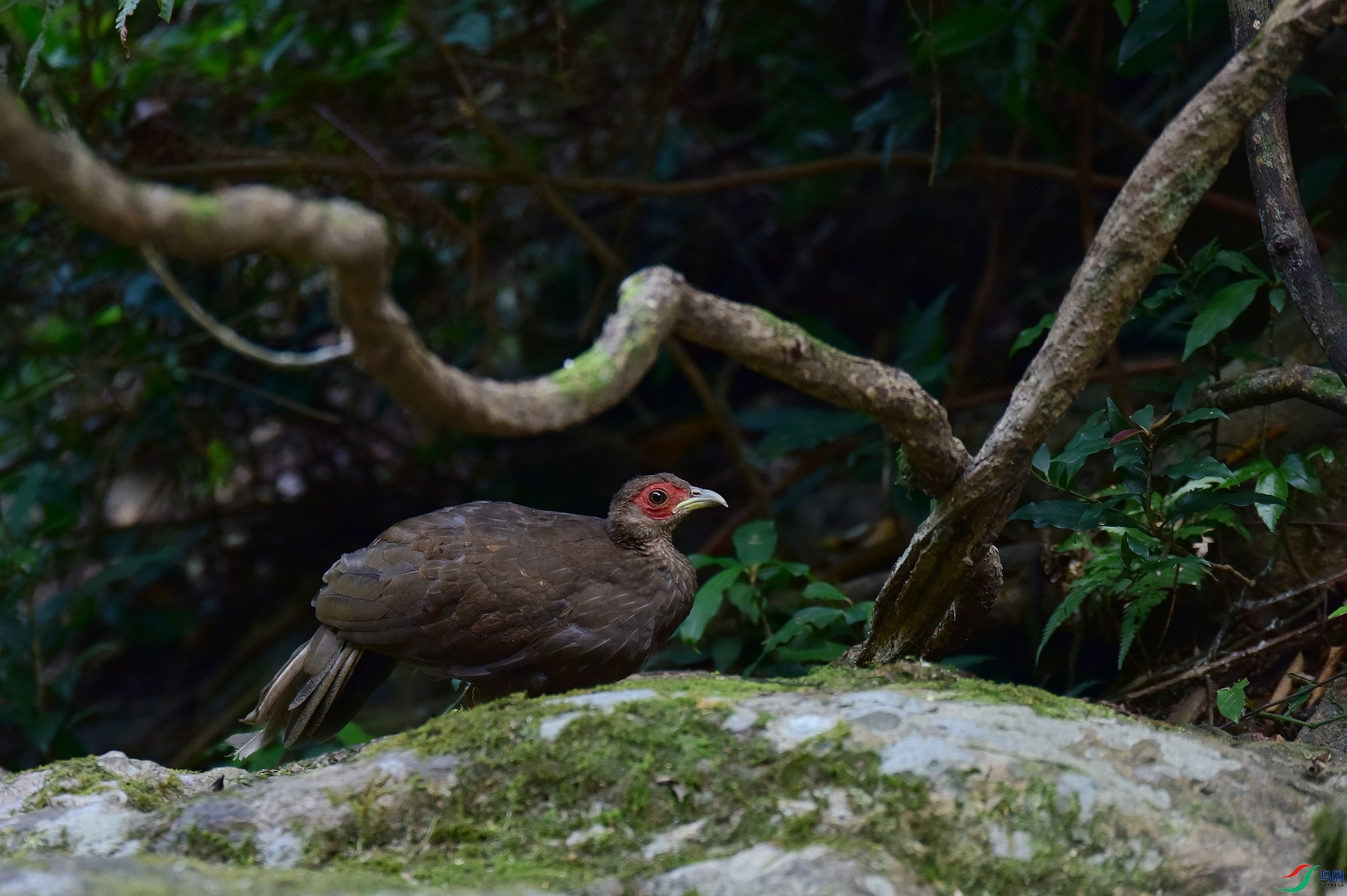 D8I_4107.jpg