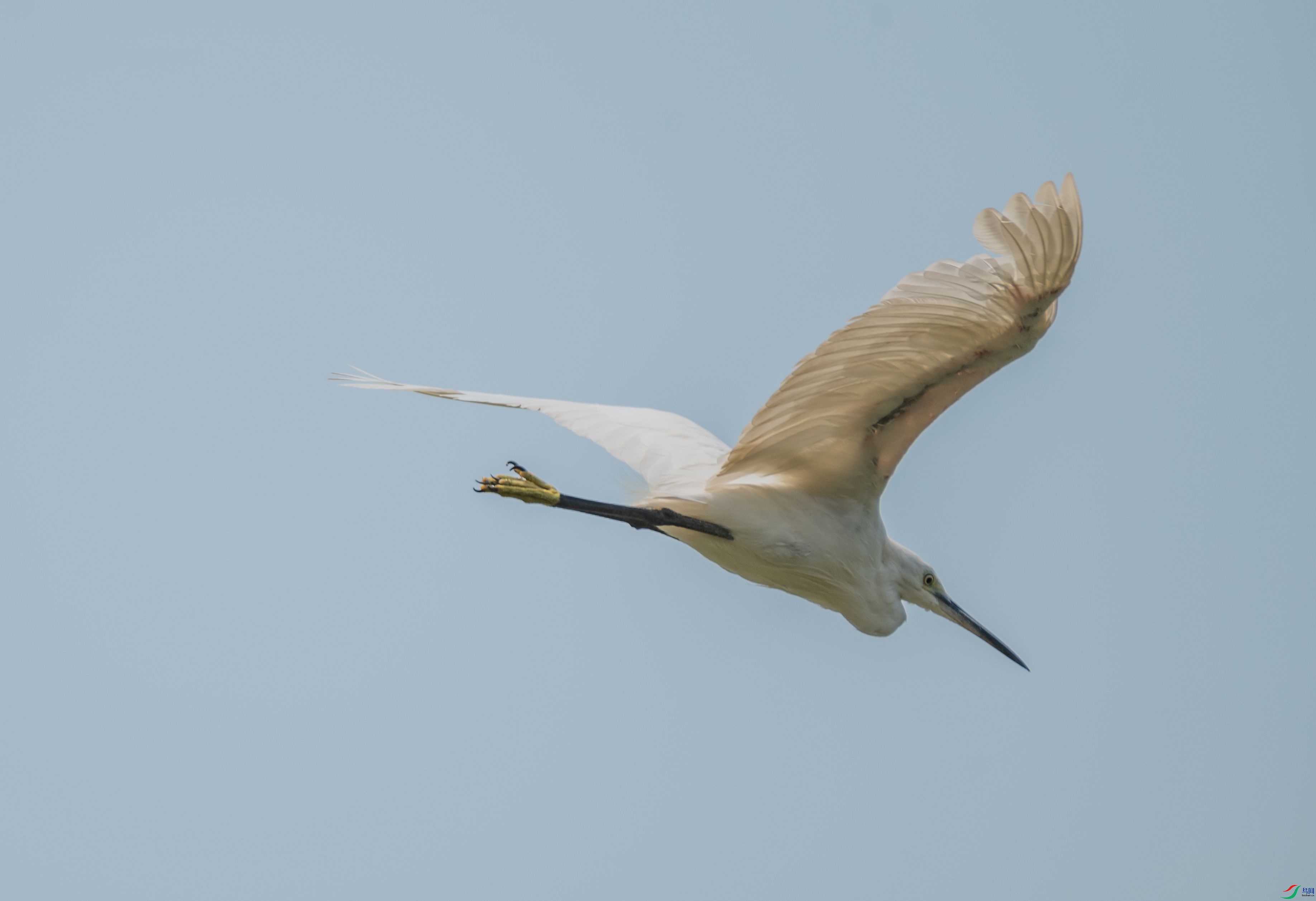DSC_2428.jpg