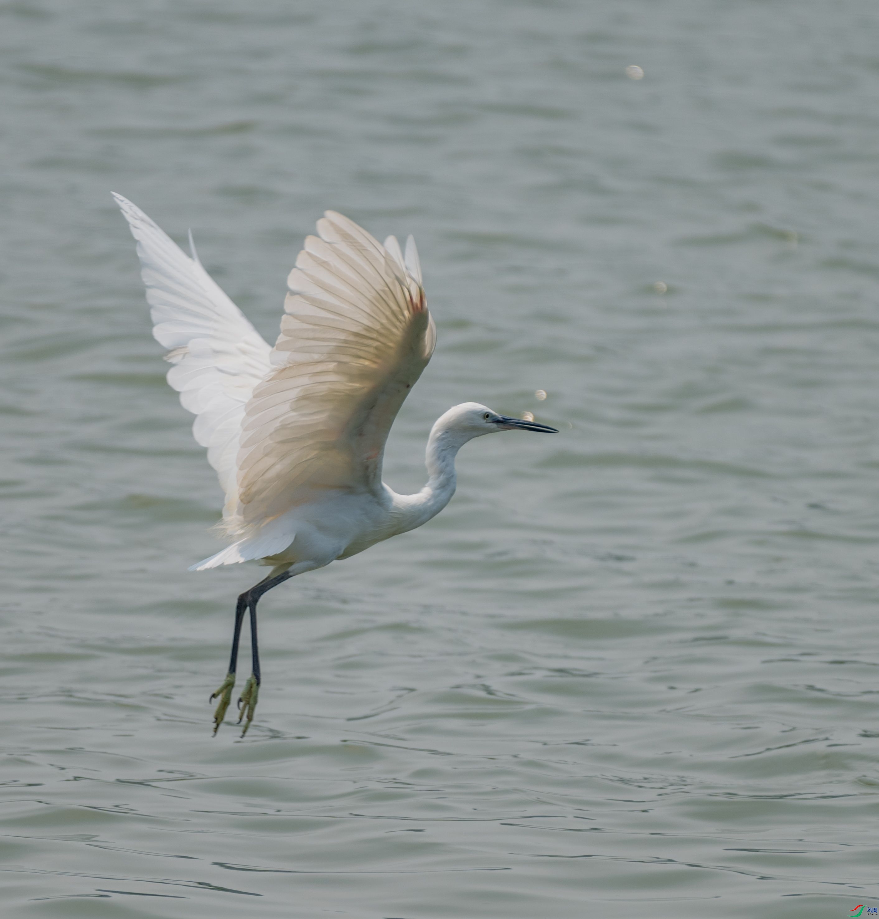 DSC_2577.jpg