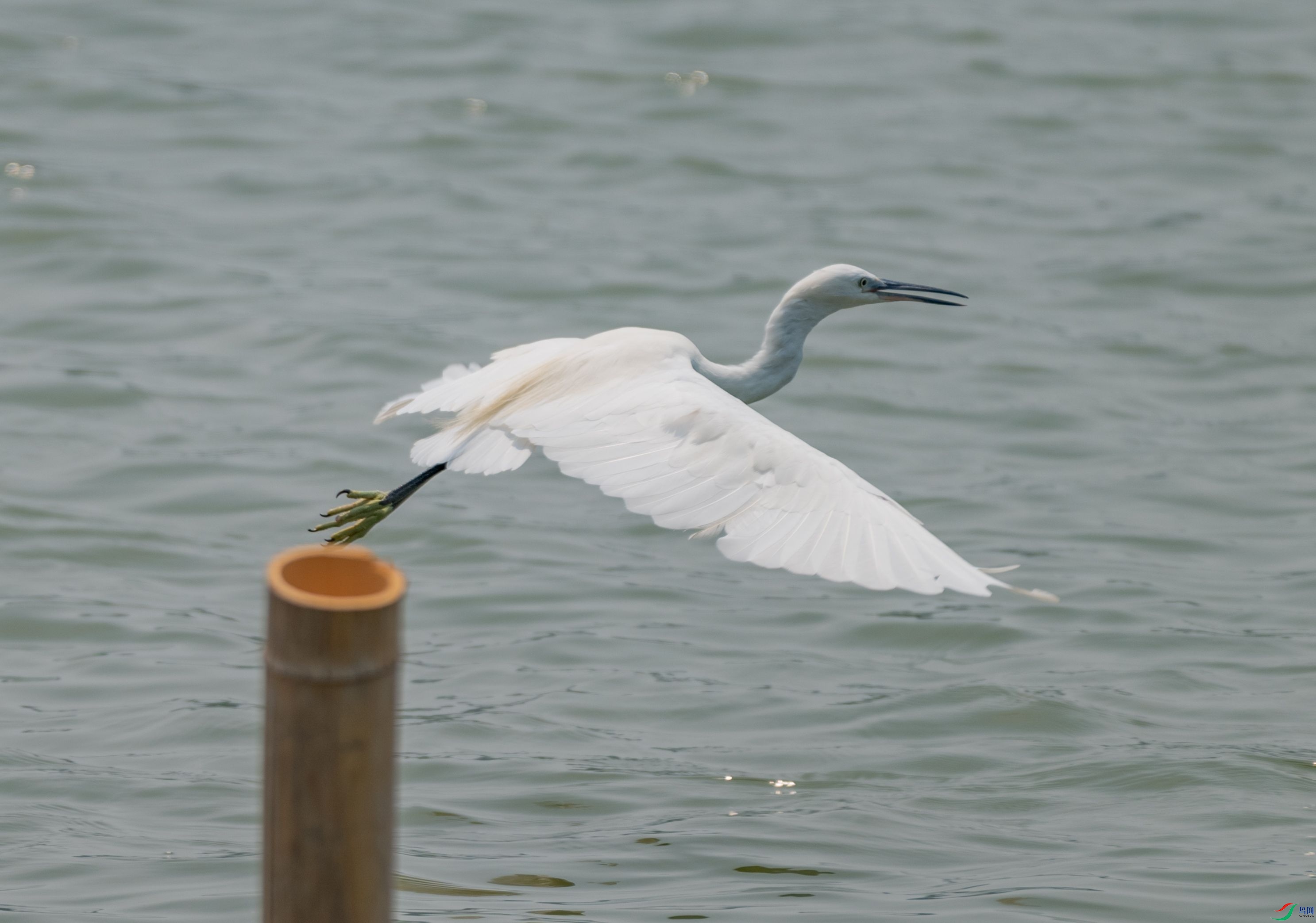DSC_2578.jpg