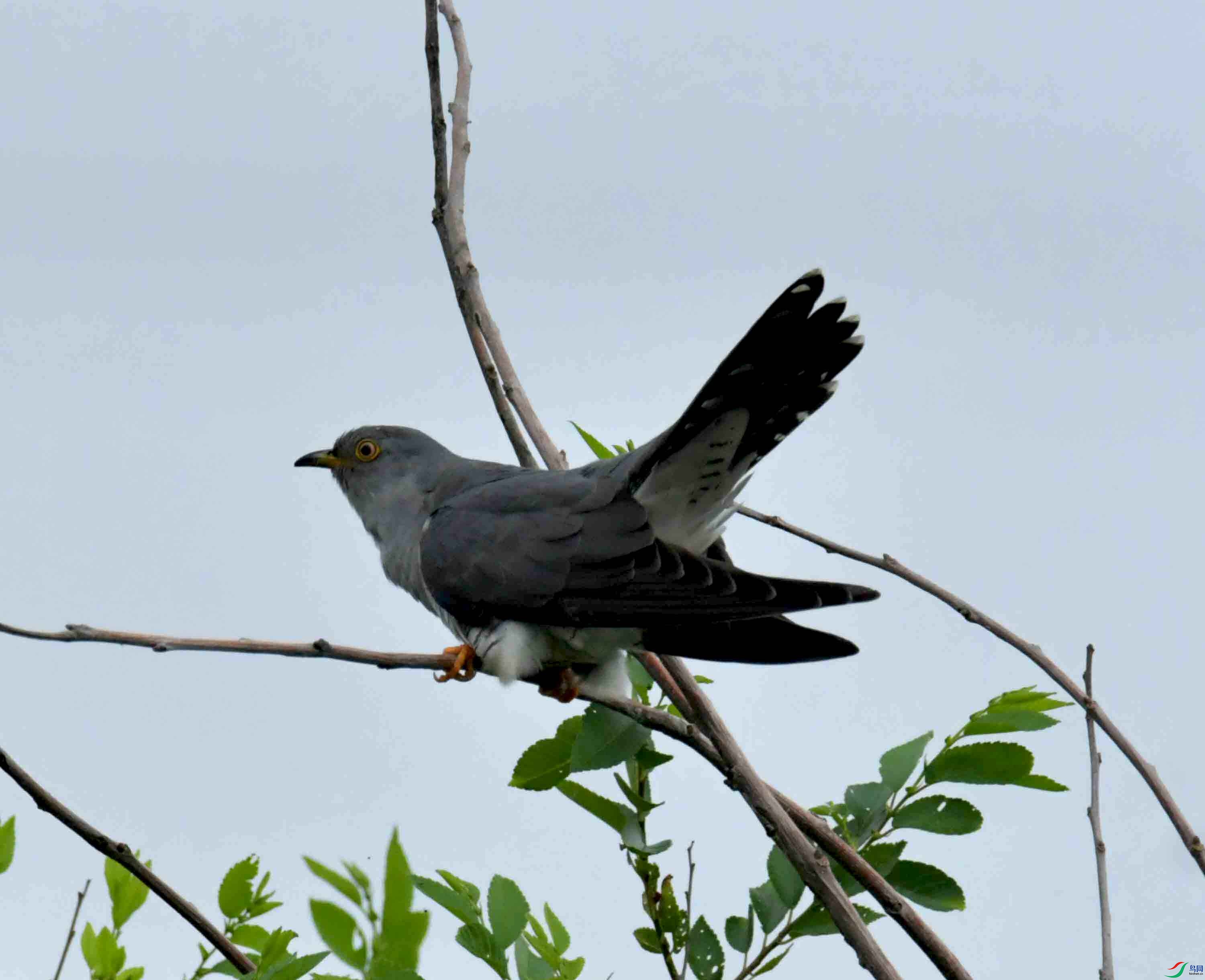 DSC_9364.JPG