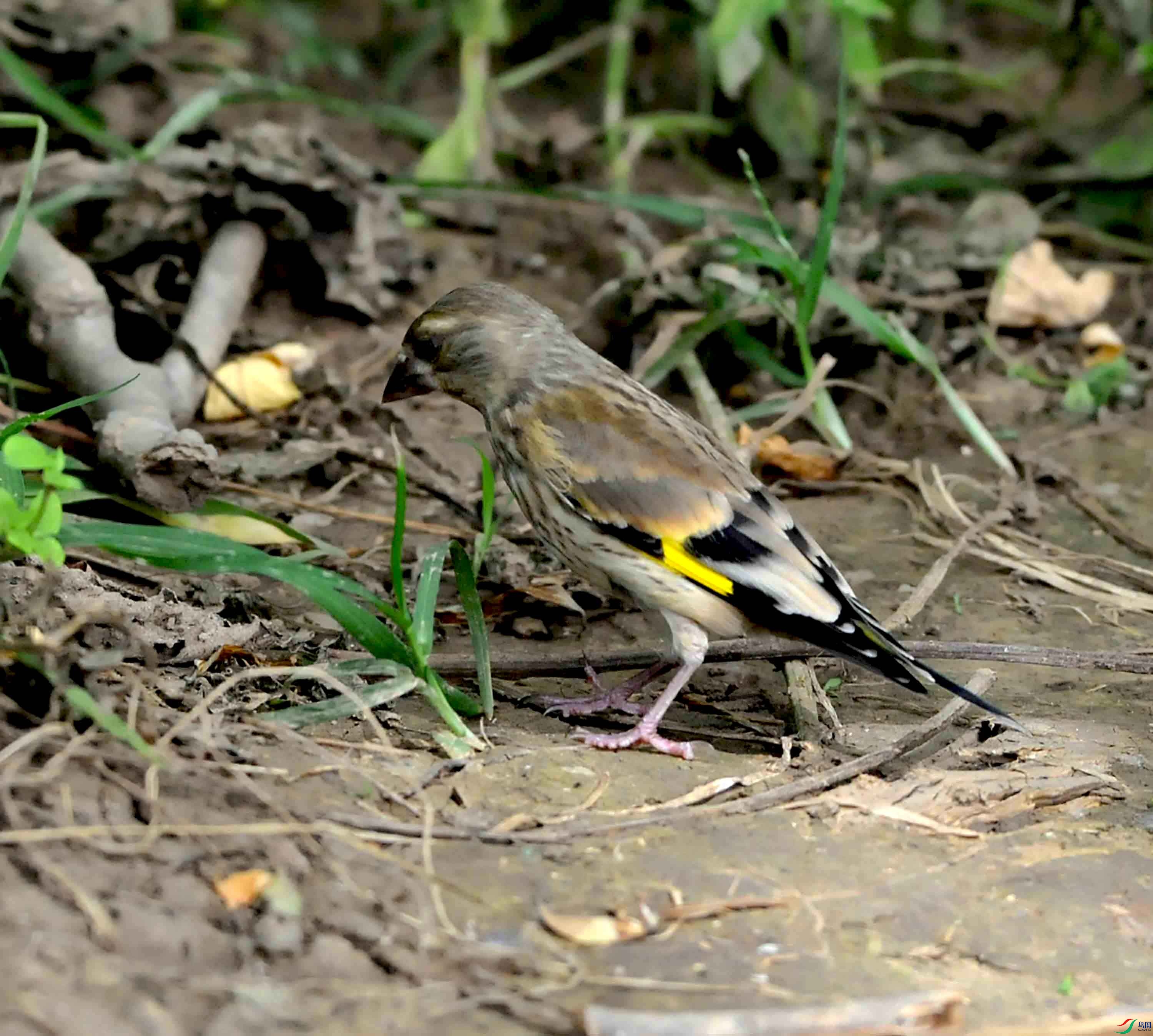 DSC_8713.JPG