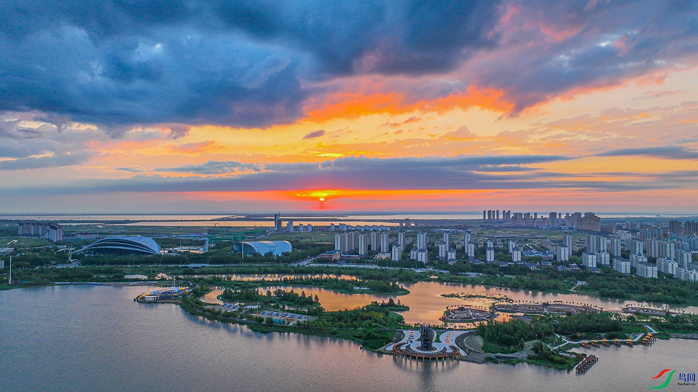 DJI_0402 ���� 1.jpg