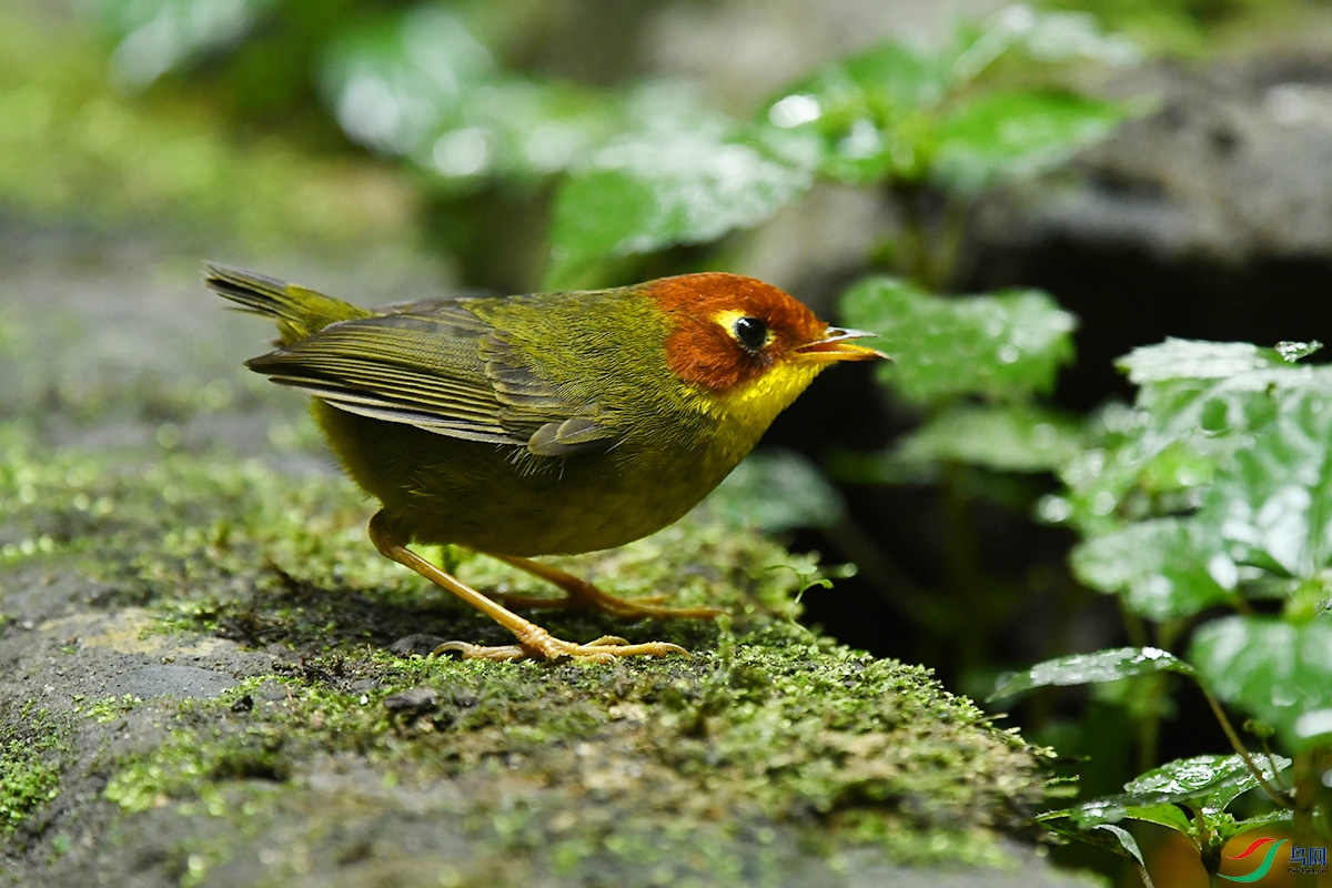 DSC_1024.JPG