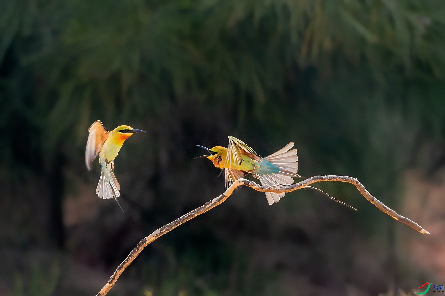 DSC_2599-2.jpg
