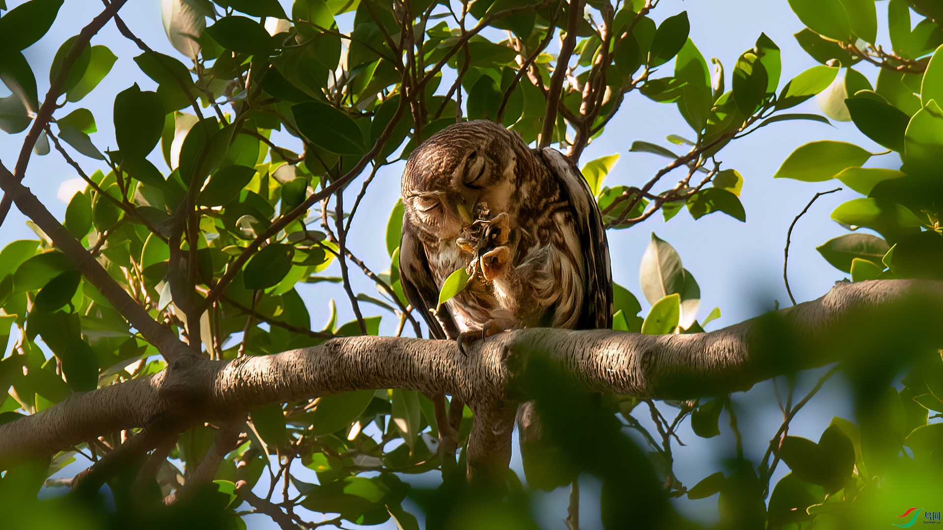 DSC_8520.jpg
