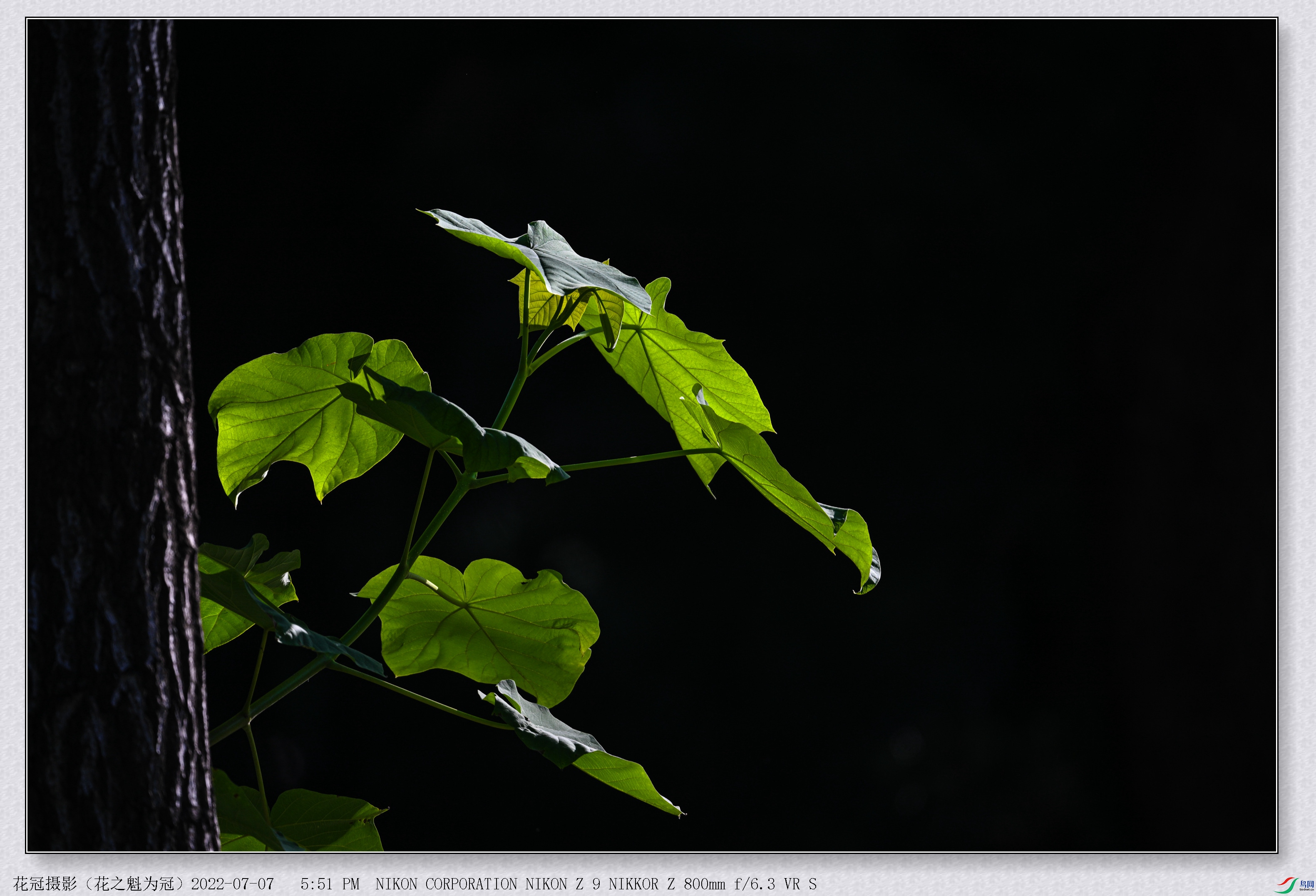 DSC_9362 (2)B-1_����.jpg