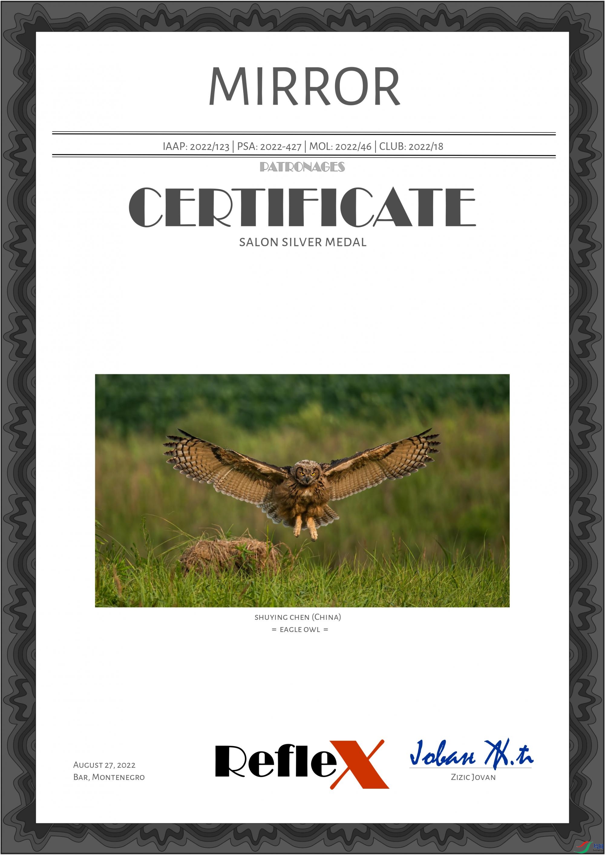 shuying chen (China) - eagle owl.jpg