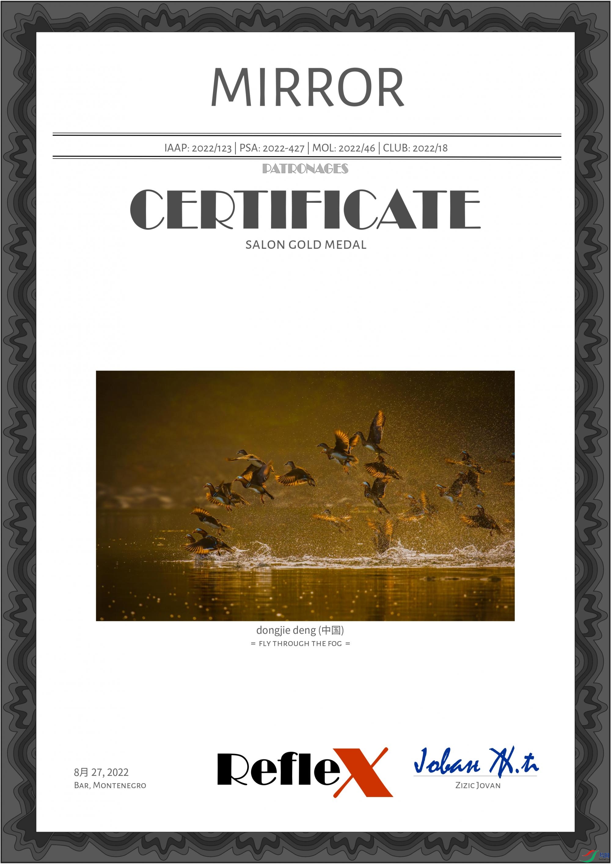 dongjie deng (�й�) - fly through the fog.jpg