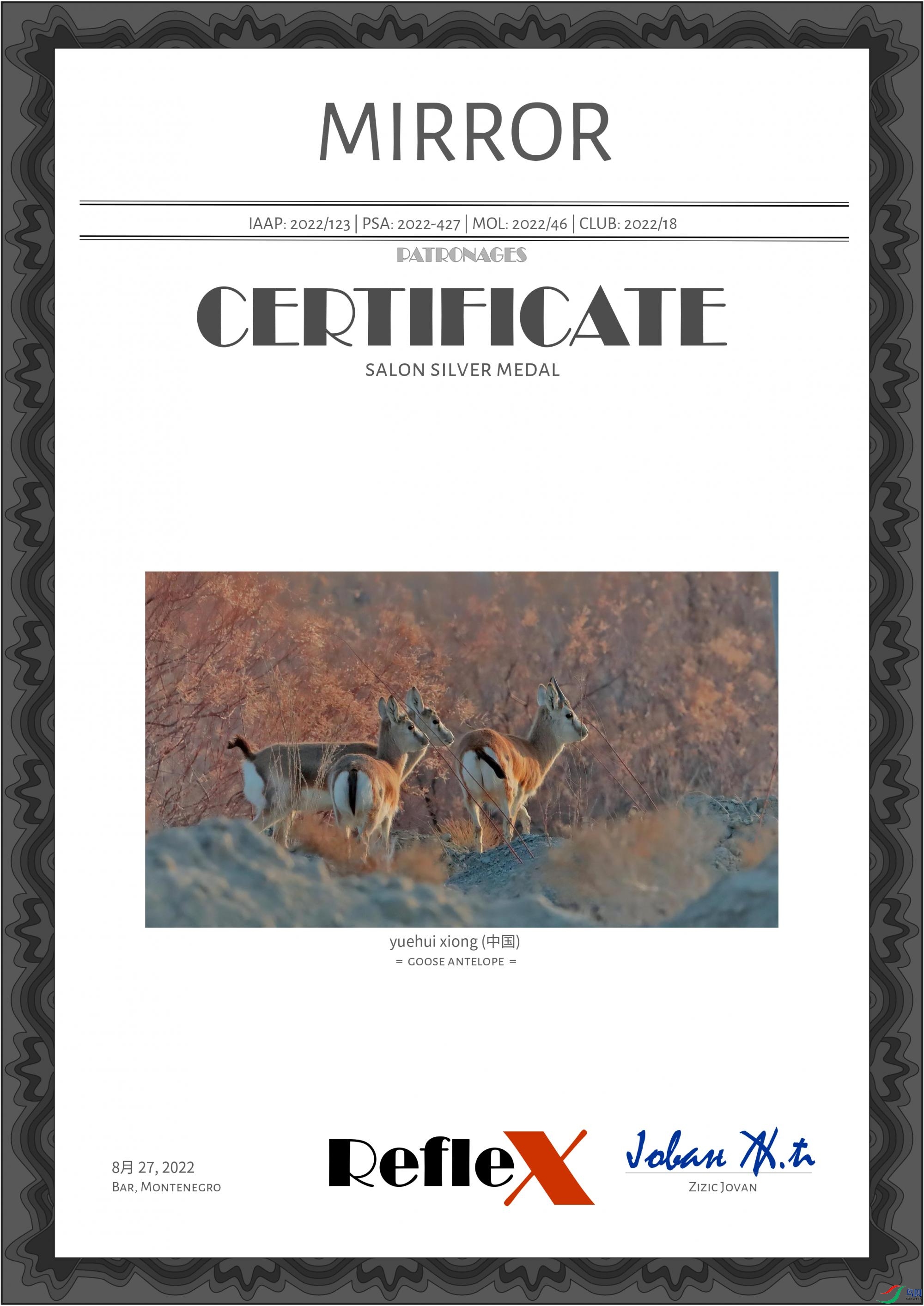 yuehui xiong (�й�) - goose antelope.jpg