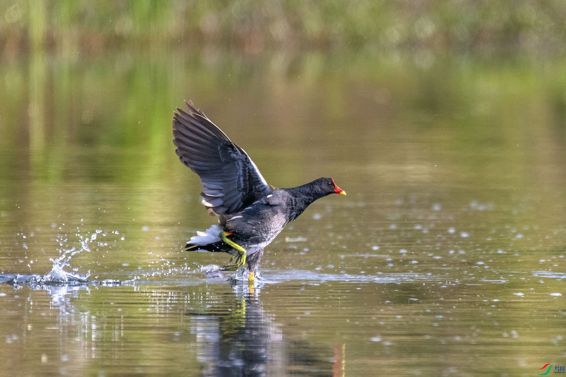 ��_AUU6881����ˮ����22.4.8��-1.jpg