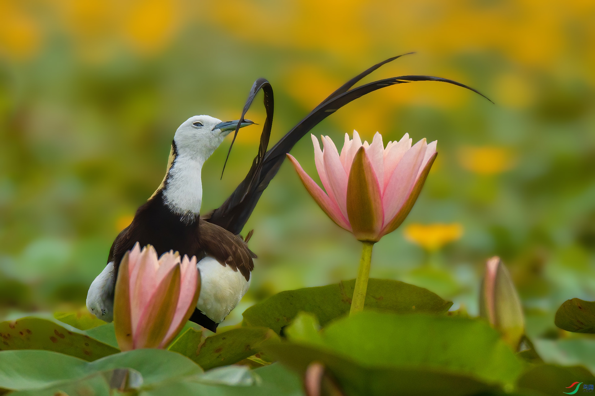 �Ծ�������.jpg