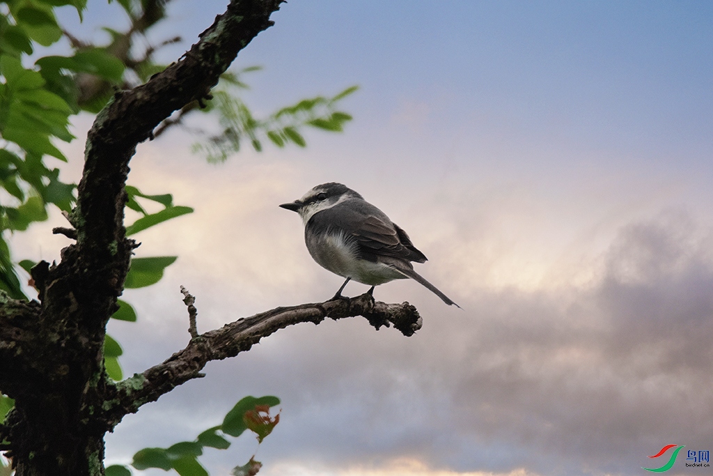 _DSC0912().jpg