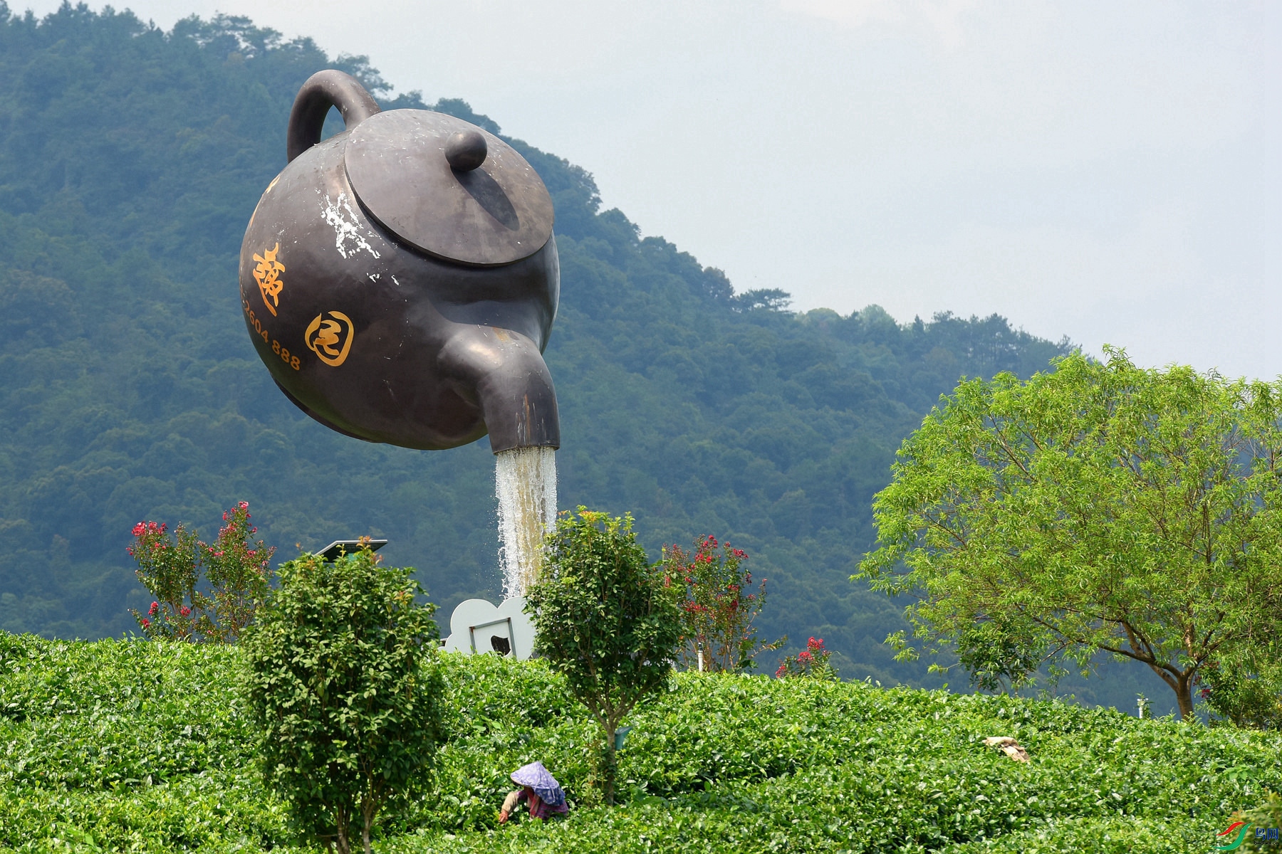 DSC_2991_����.jpg