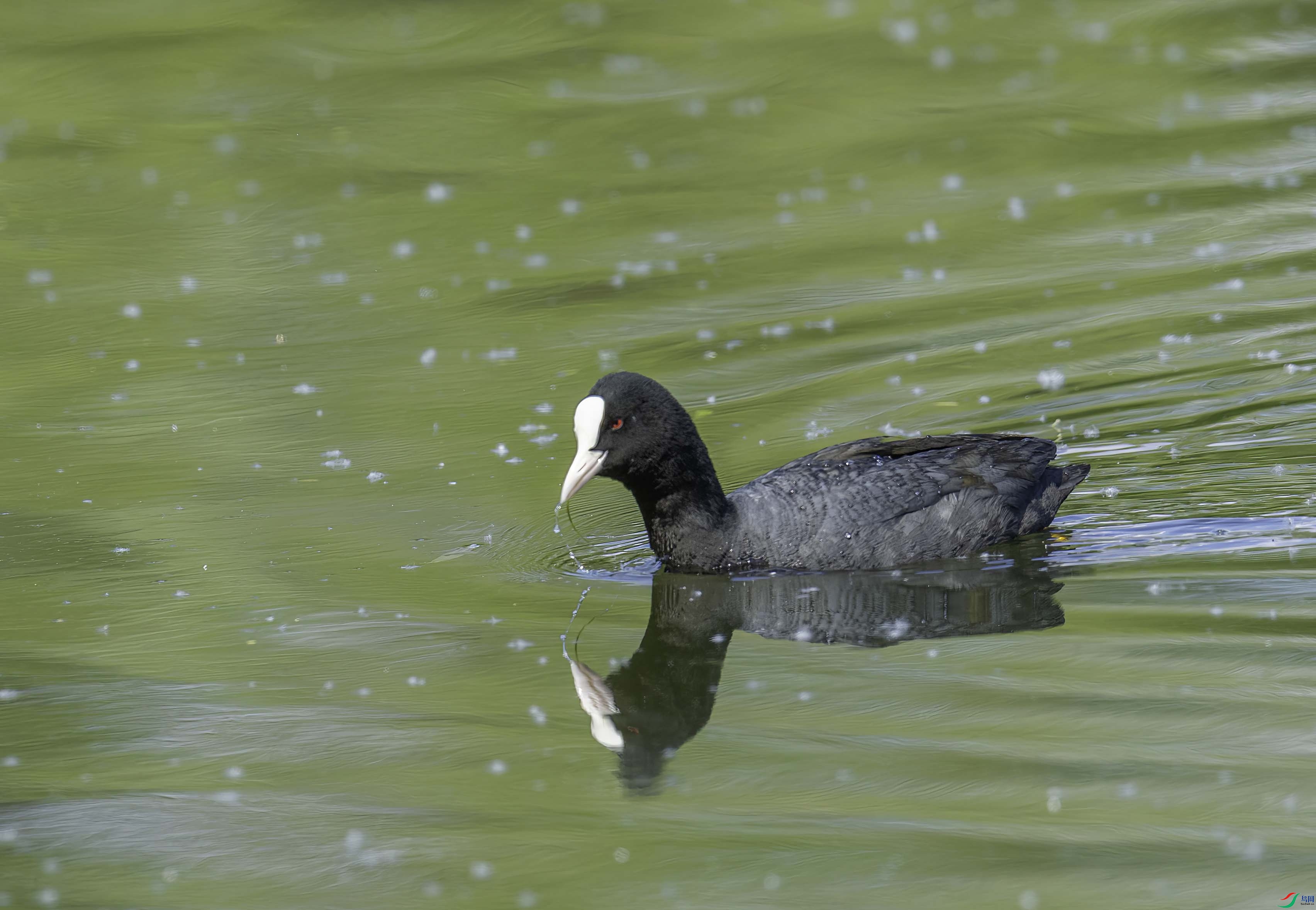 DSC_1521 ���� 2.jpg