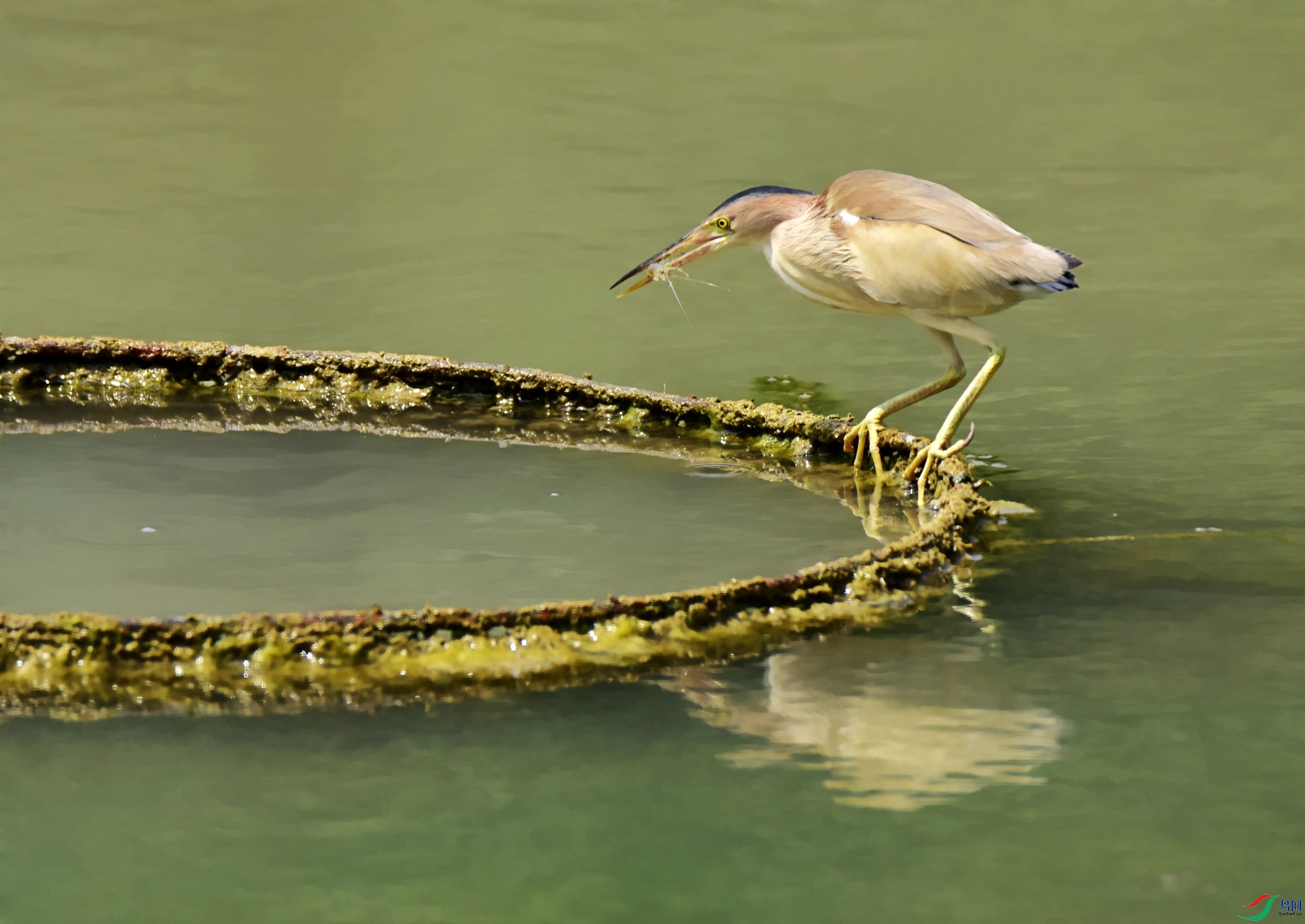 _DSC0570---_conew1.jpg