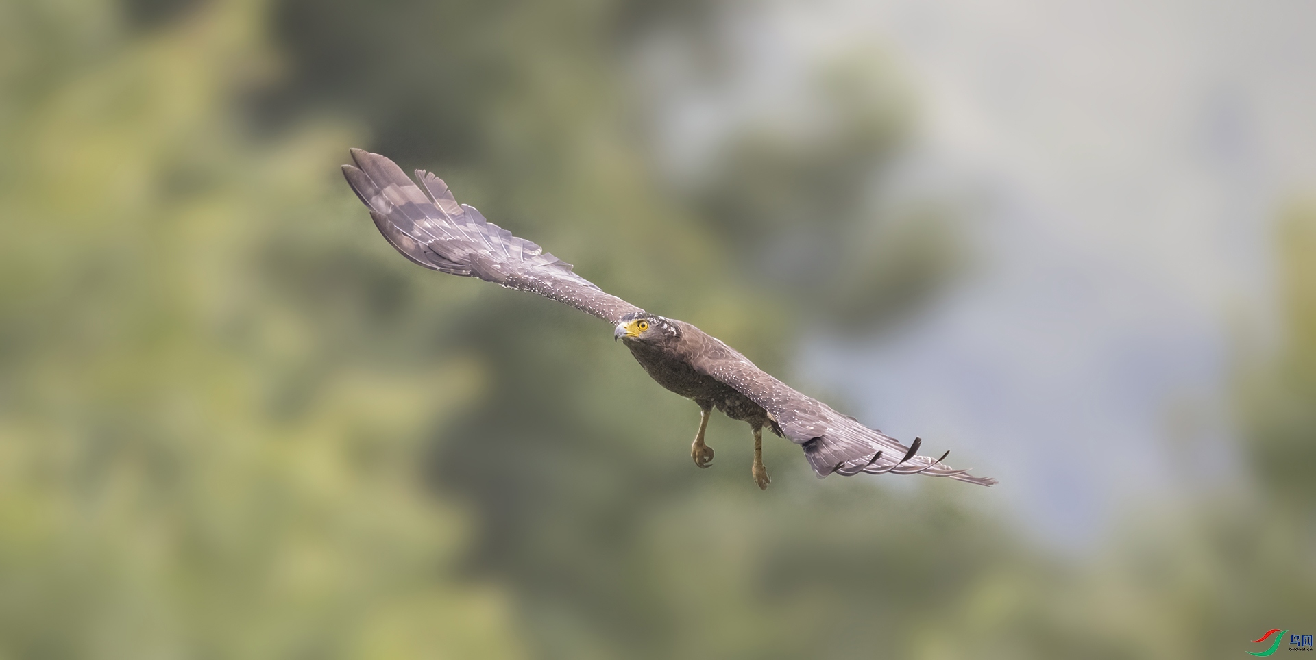 DSC_8055 a����.jpg