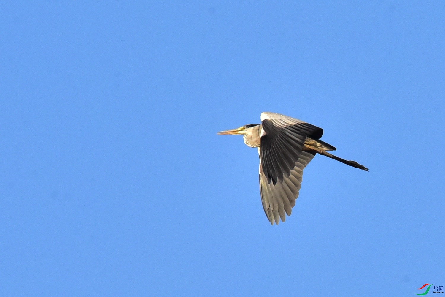 DSC_3777.JPG