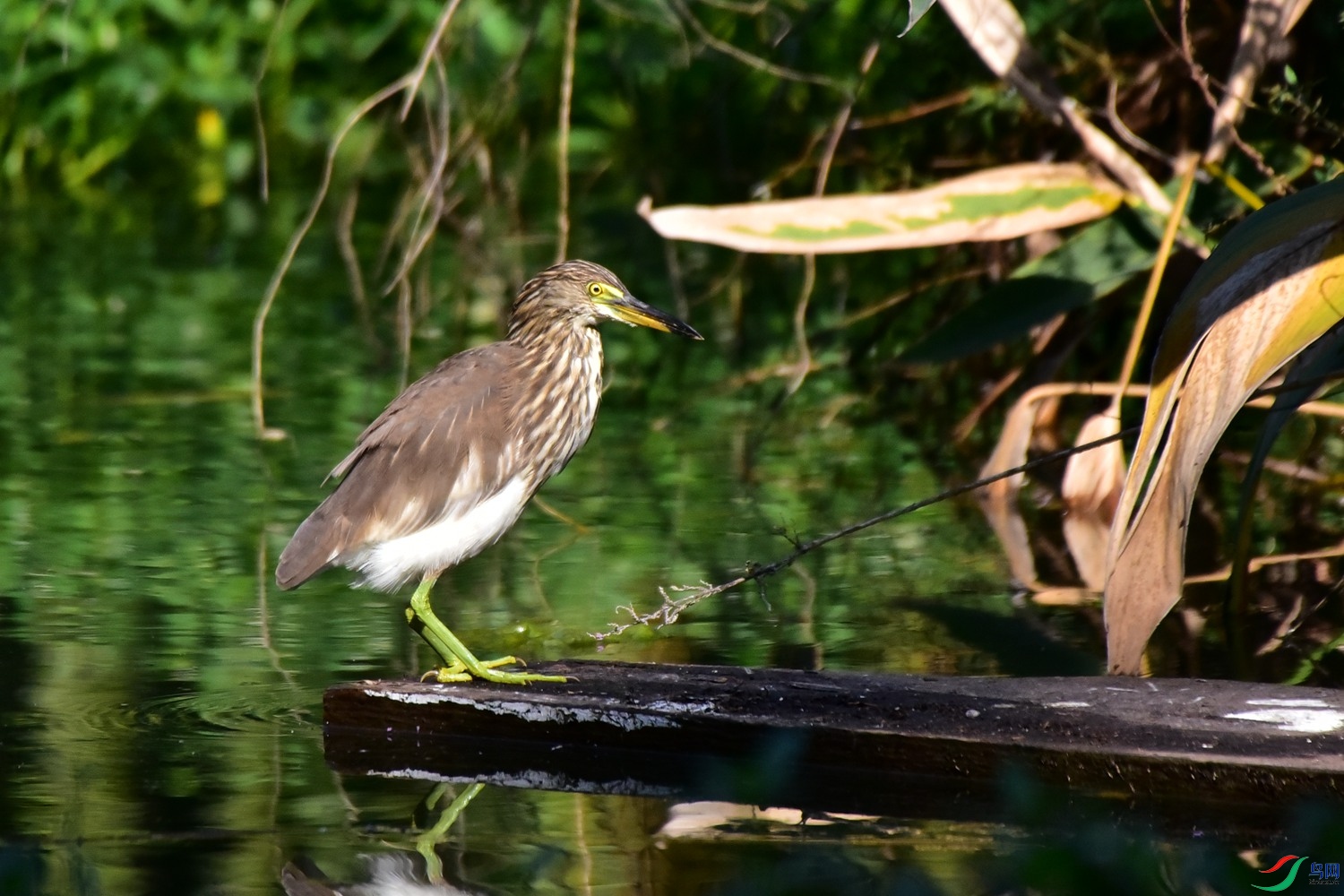 DSC_2057.JPG