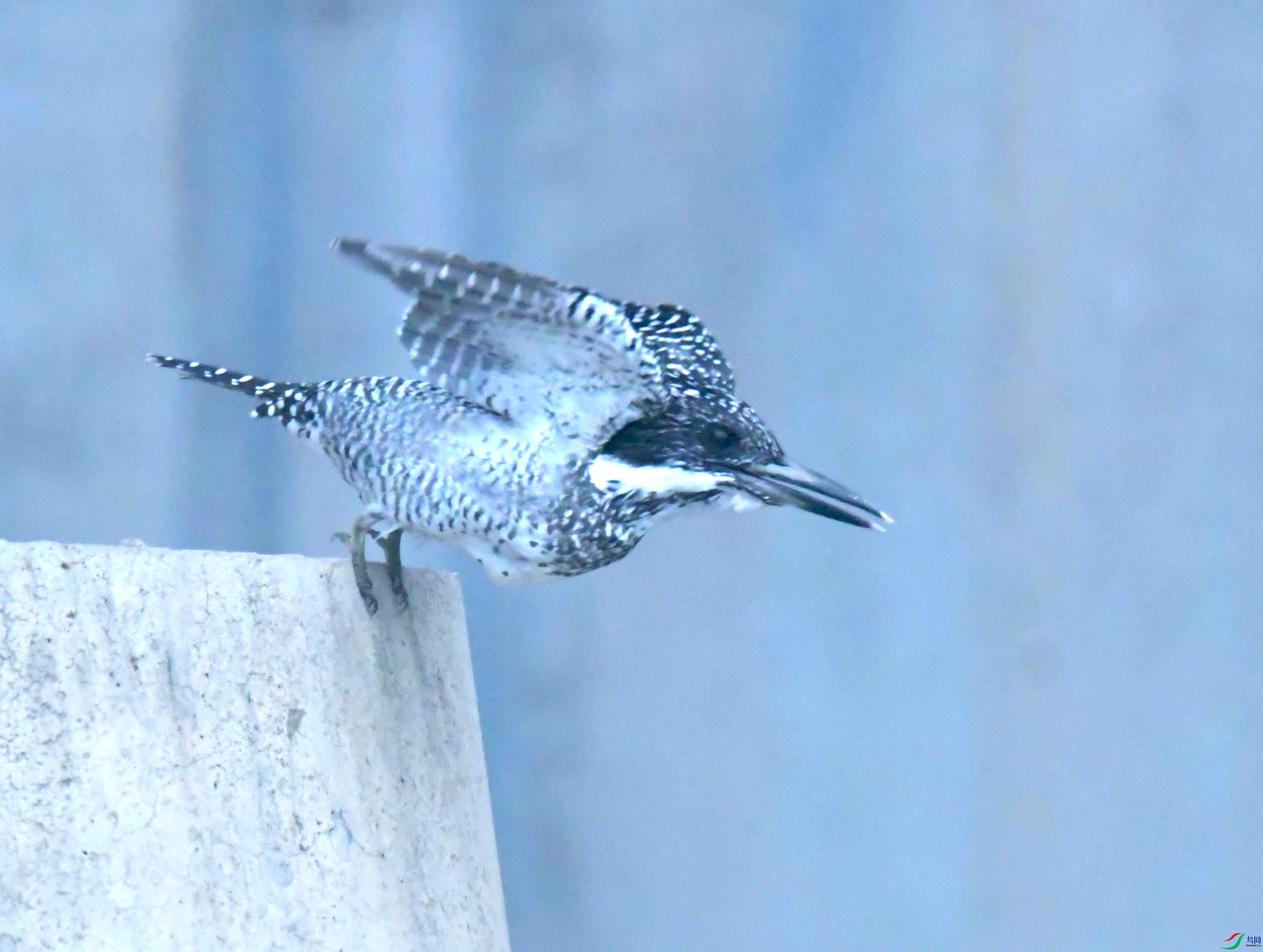DSC_9444.JPG