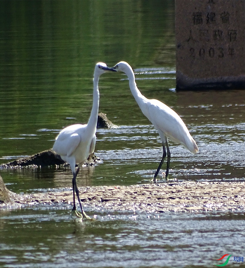 DSC00335_����.jpg