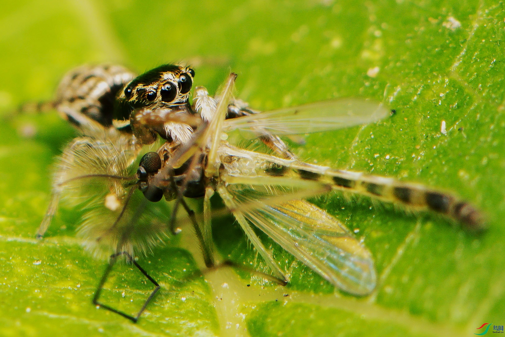 DSC_4302.jpg