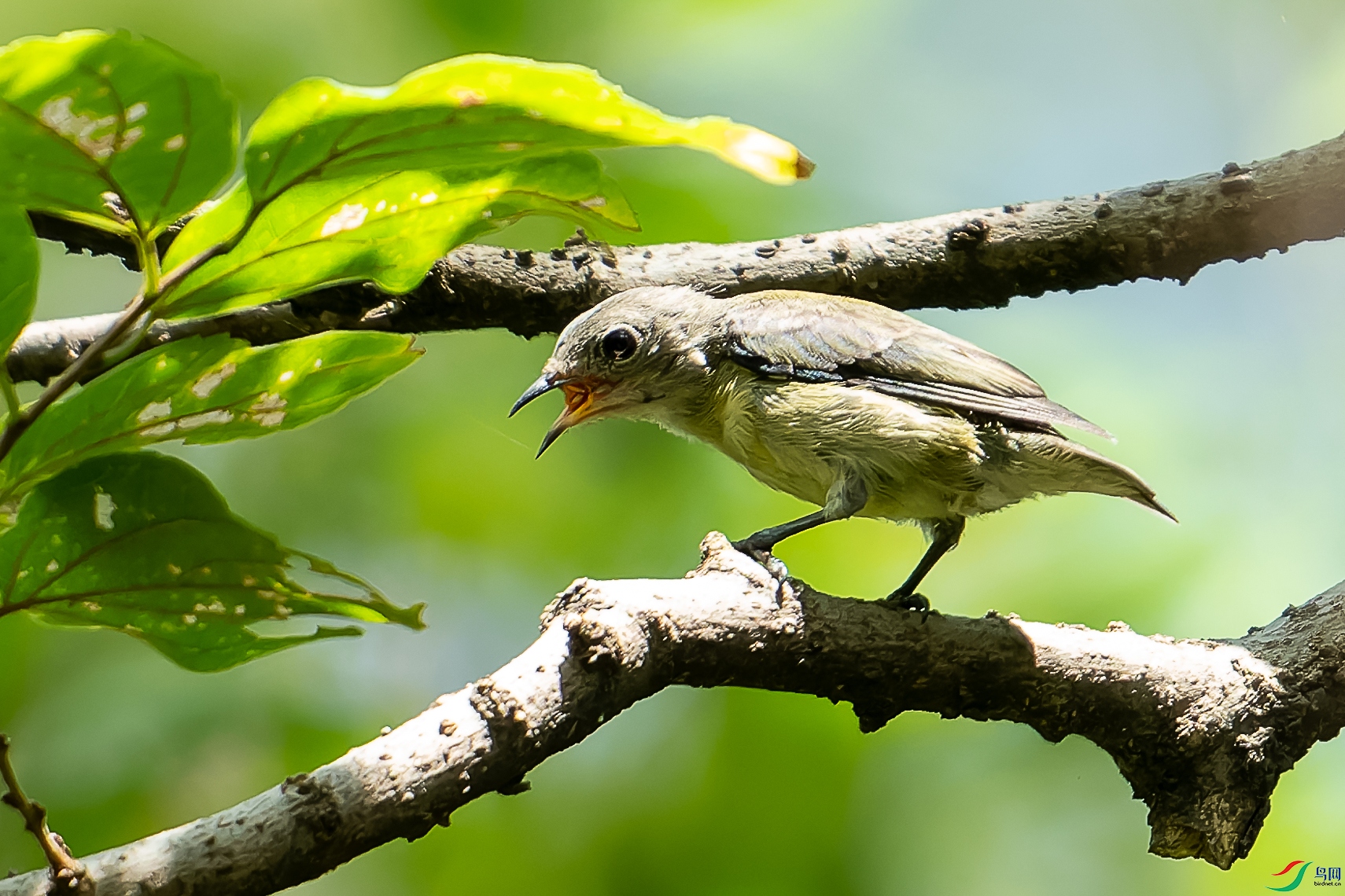 DSC09519-ARW_DxO_DeepPRIME-1.jpg