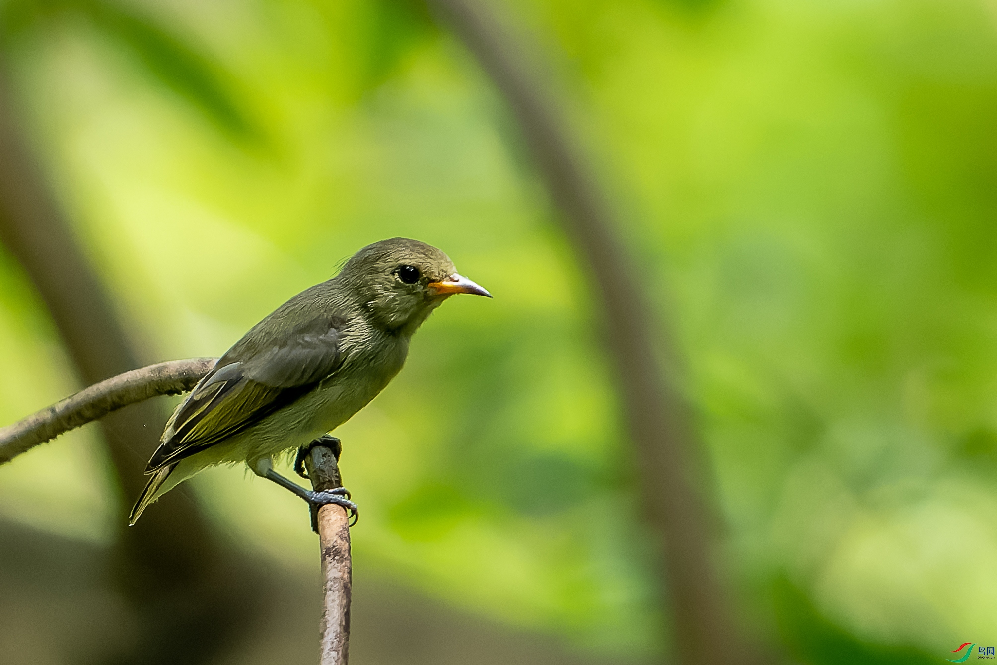 DSC09459-ARW_DxO_DeepPRIME-1.jpg
