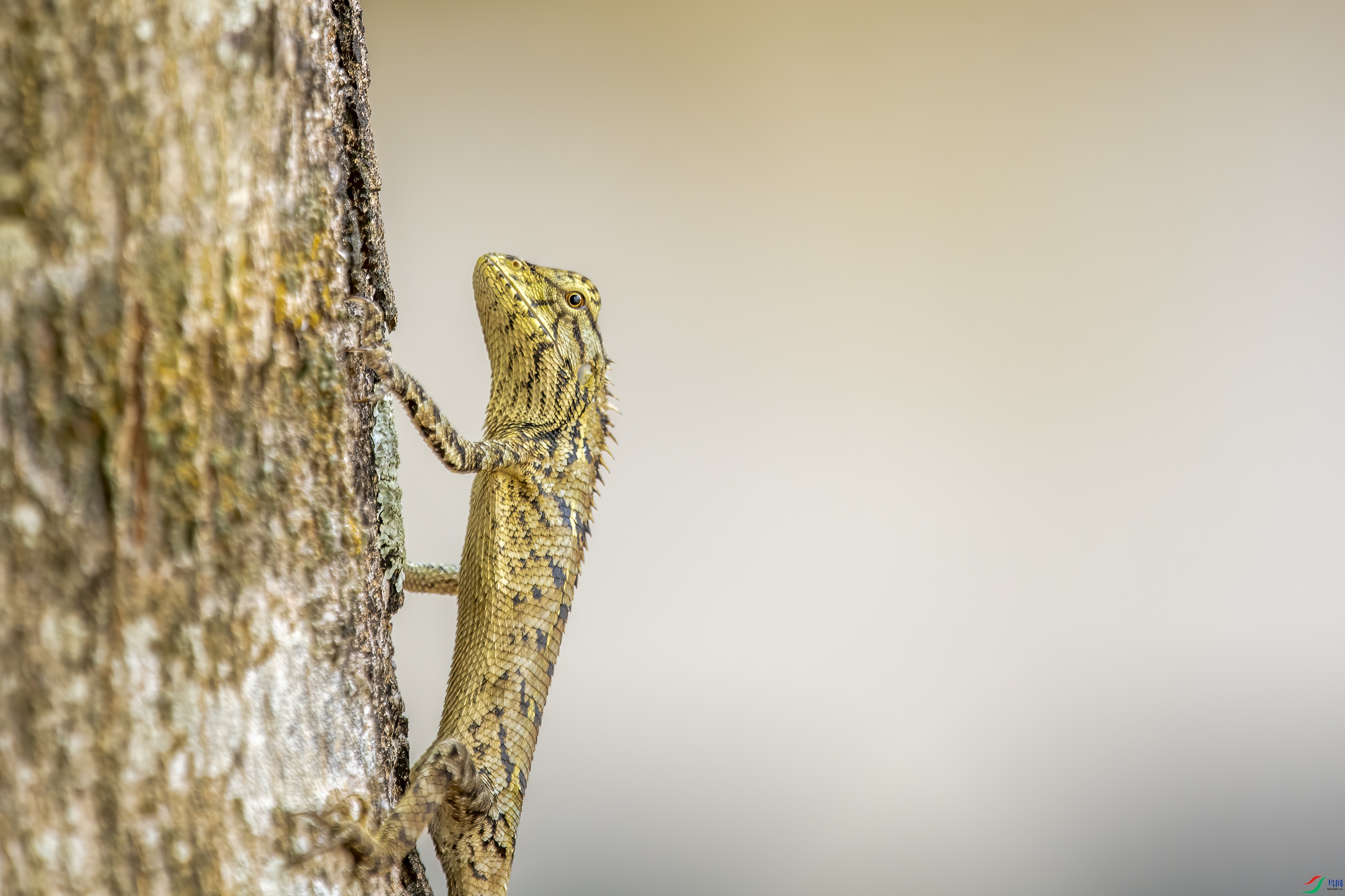 DSC_6580.jpg