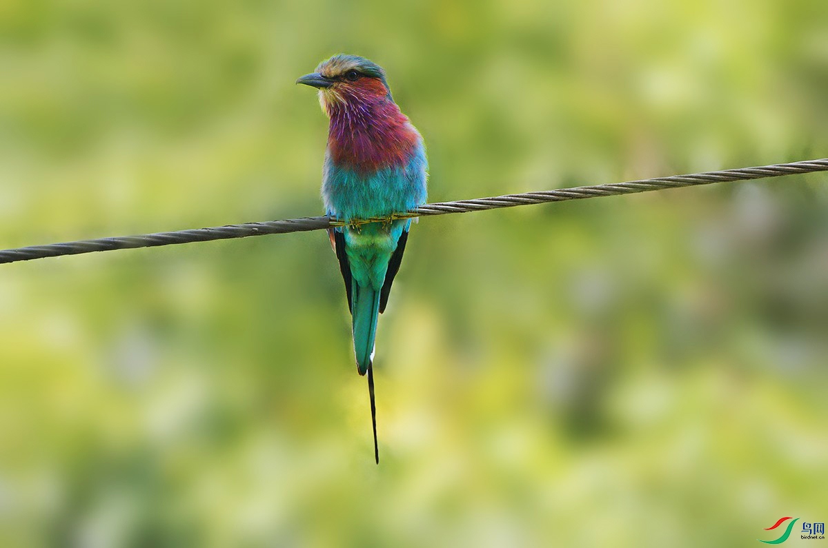 DSC_0853_.jpg