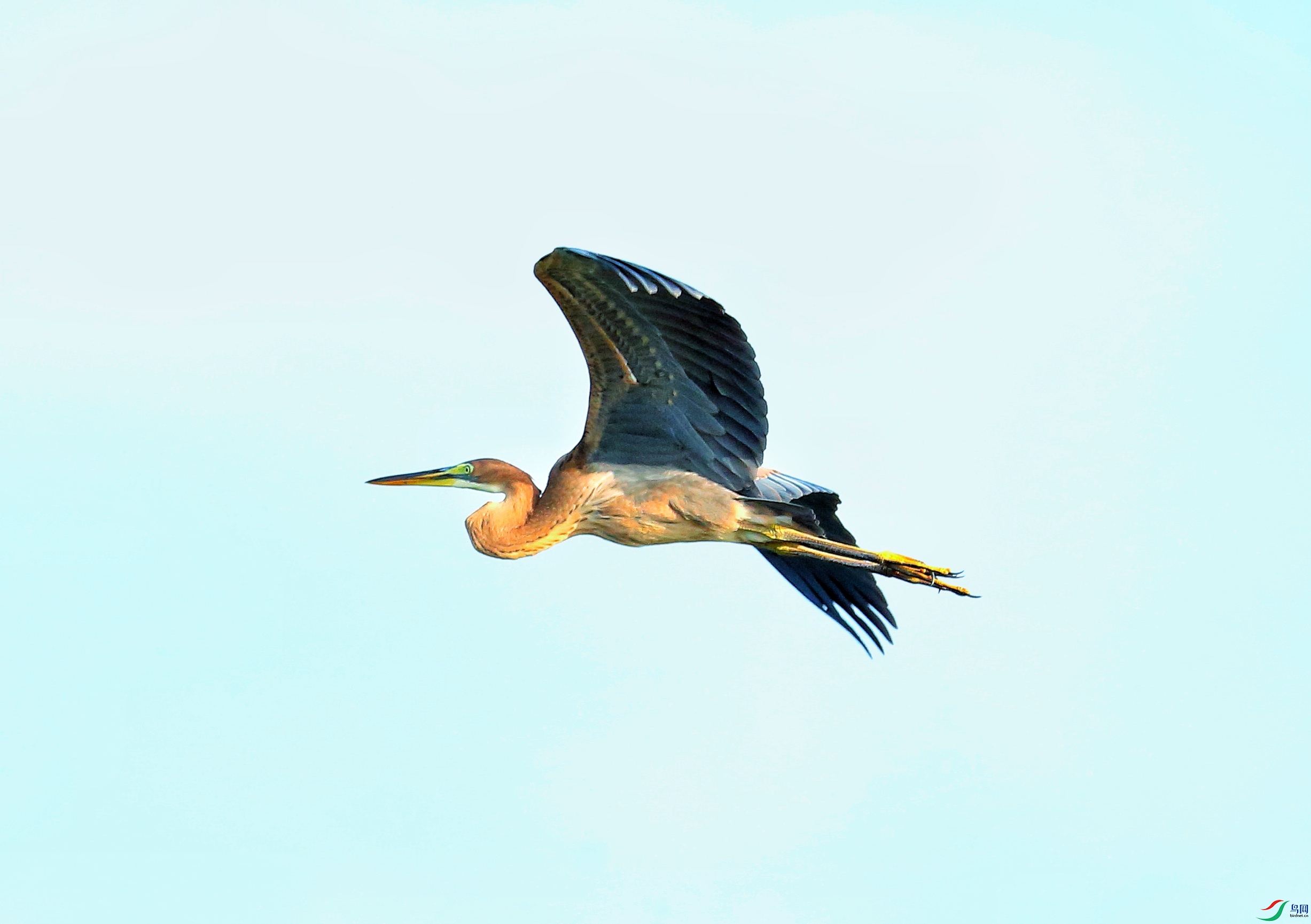 ���� 03-01.jpeg