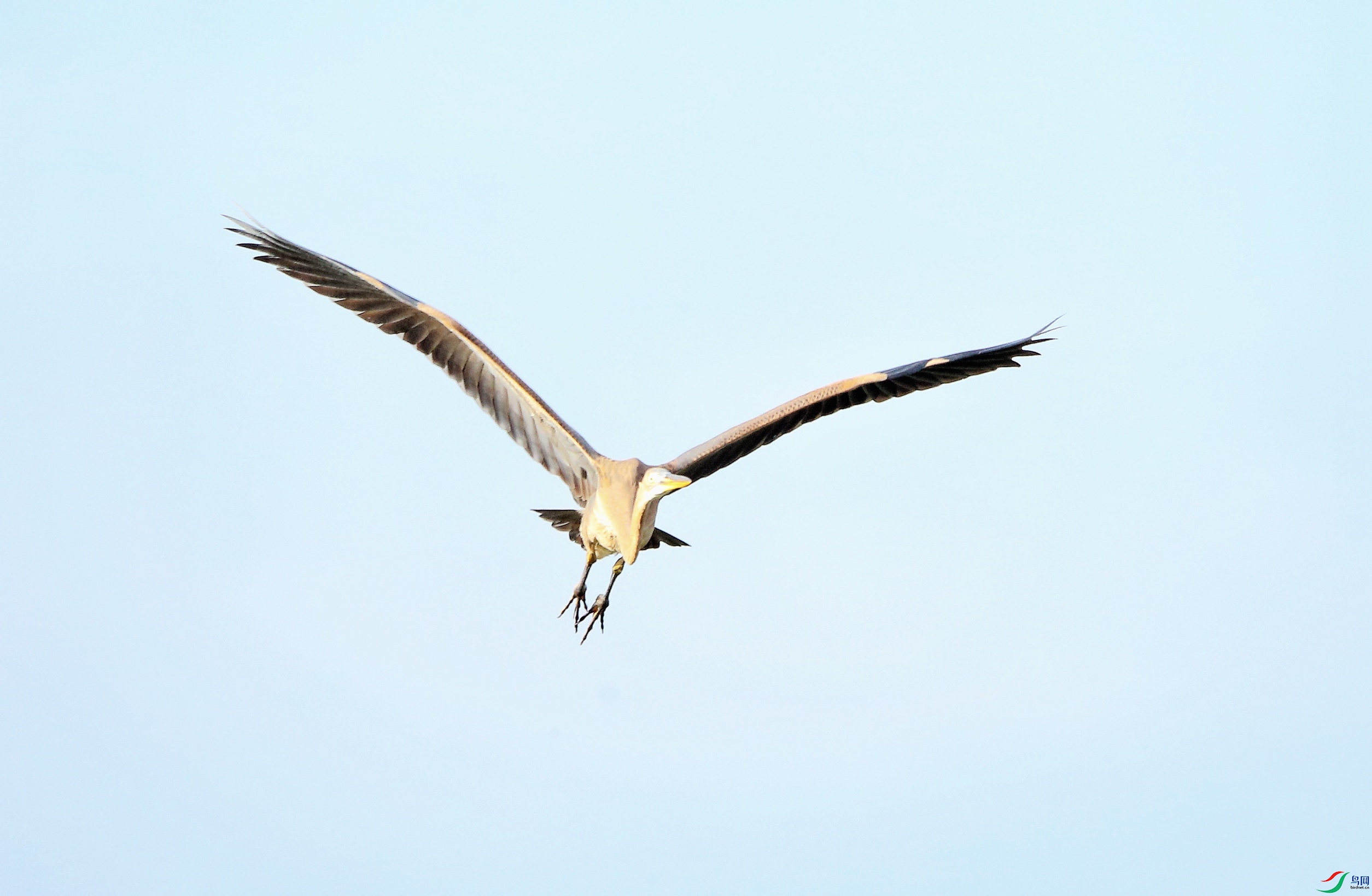 ���� 06-02.jpeg