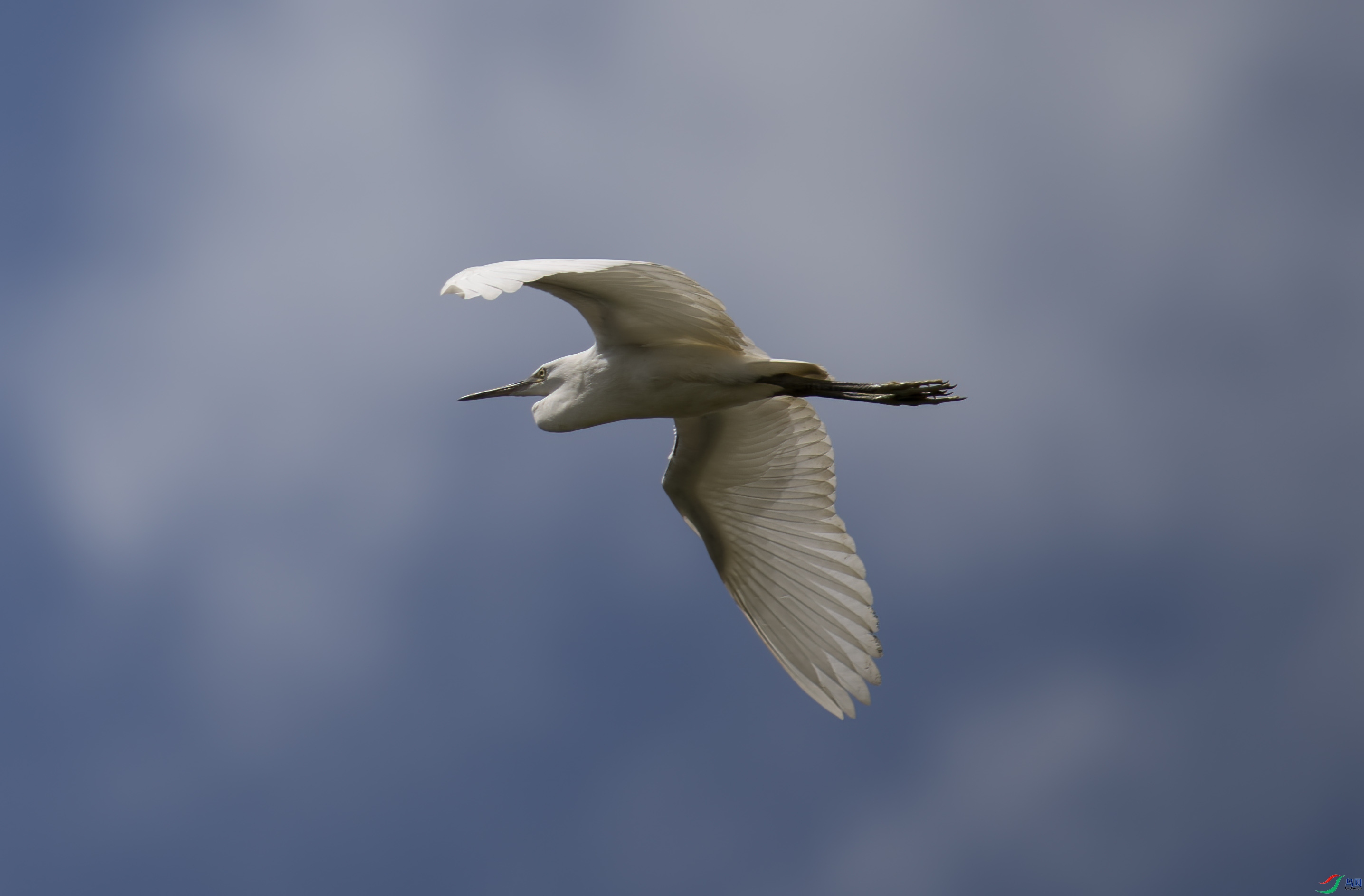 DSC_9371.jpg