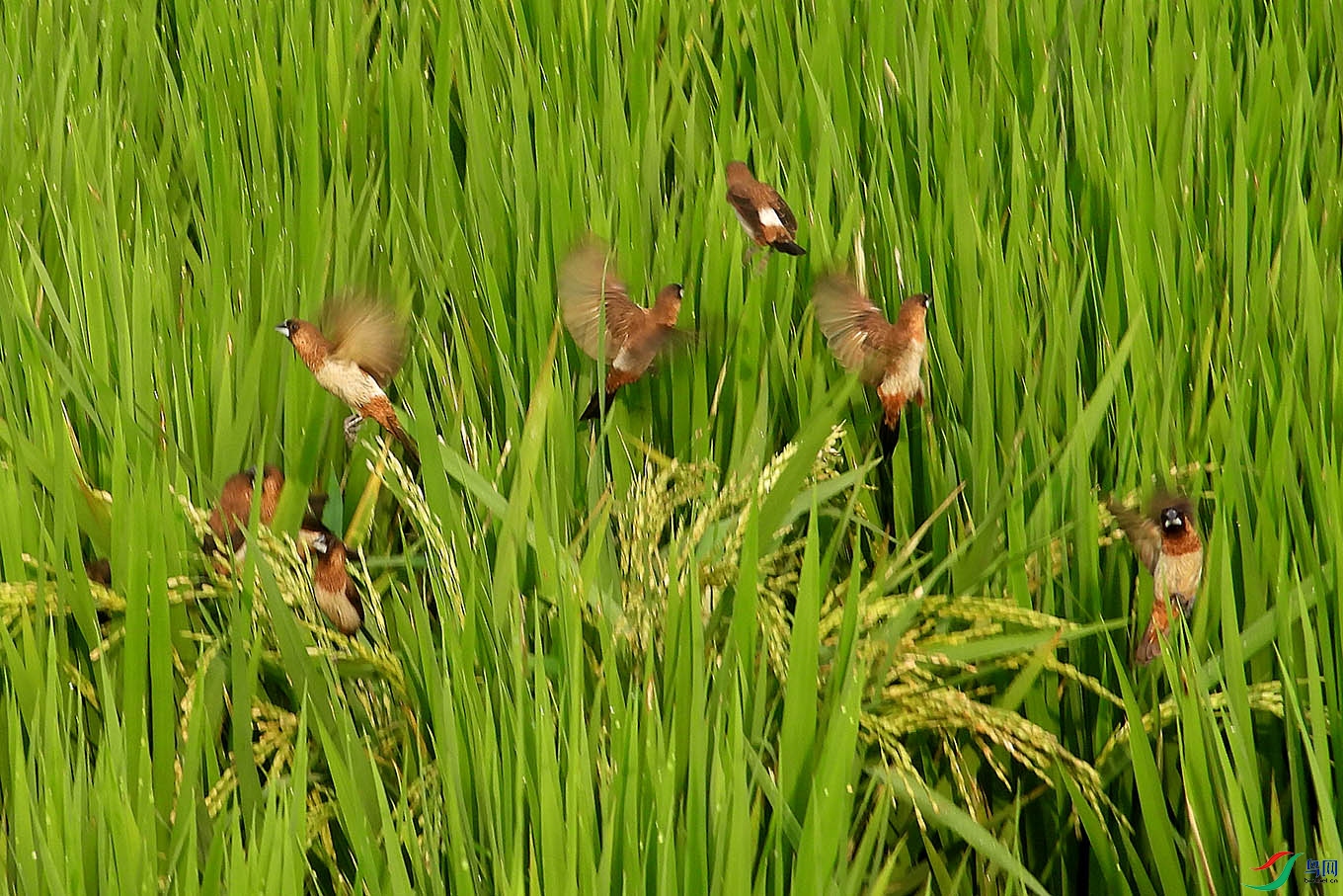DSCN5164.jpg