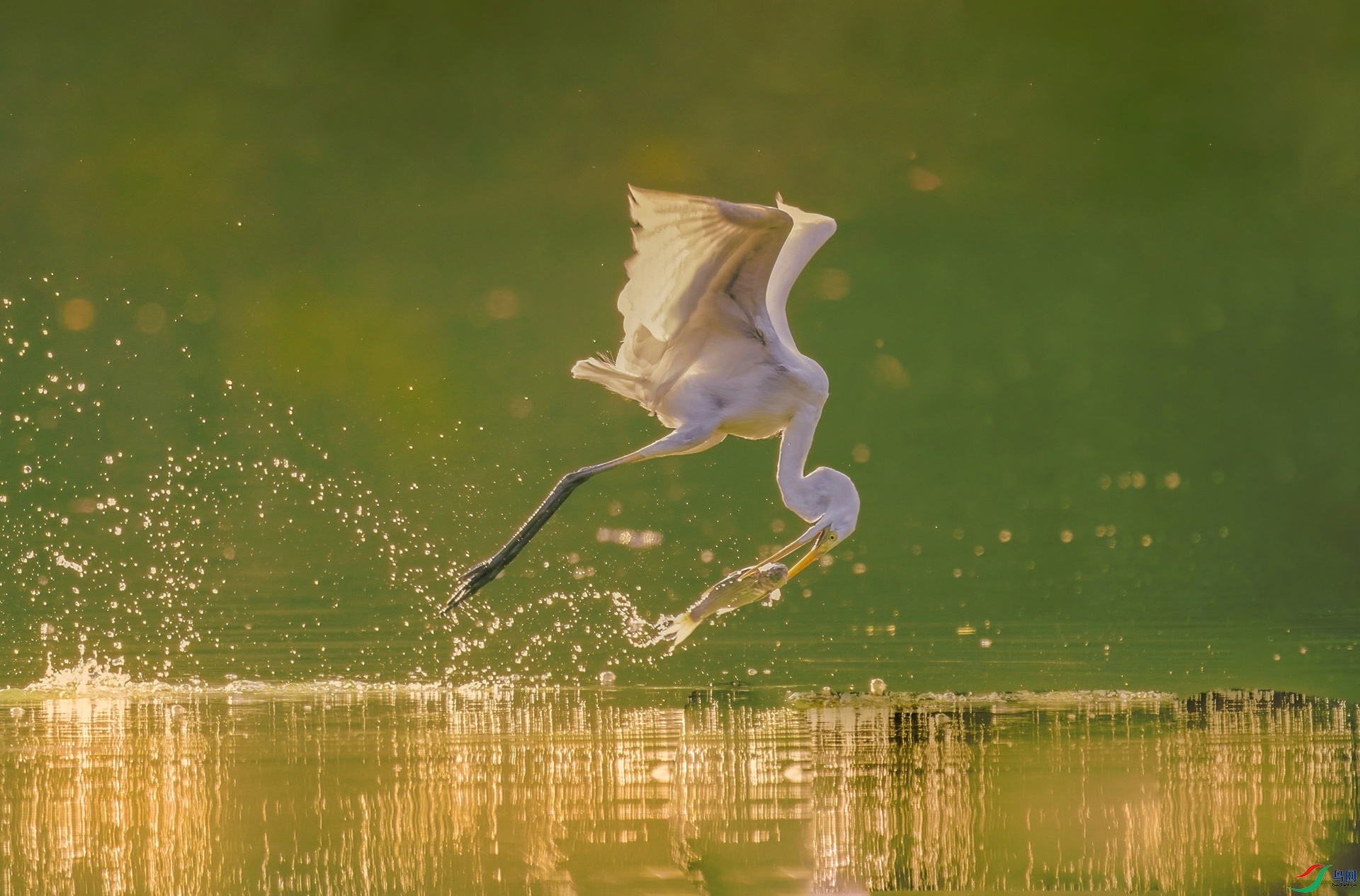 DSC_1863 ����.jpg