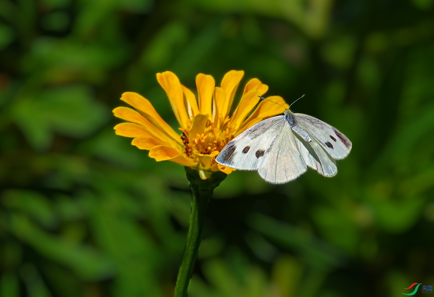 �������վ� ����.jpg