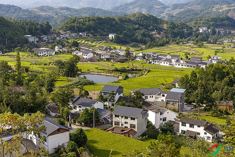 817A5215 ����a-1c.jpg