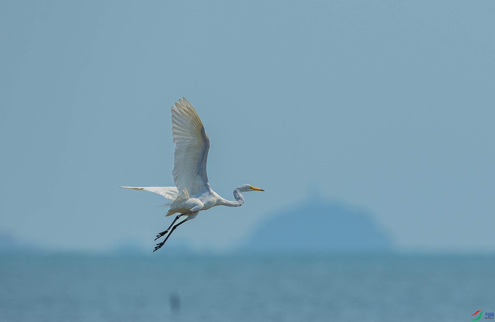 DSC_2002.jpg