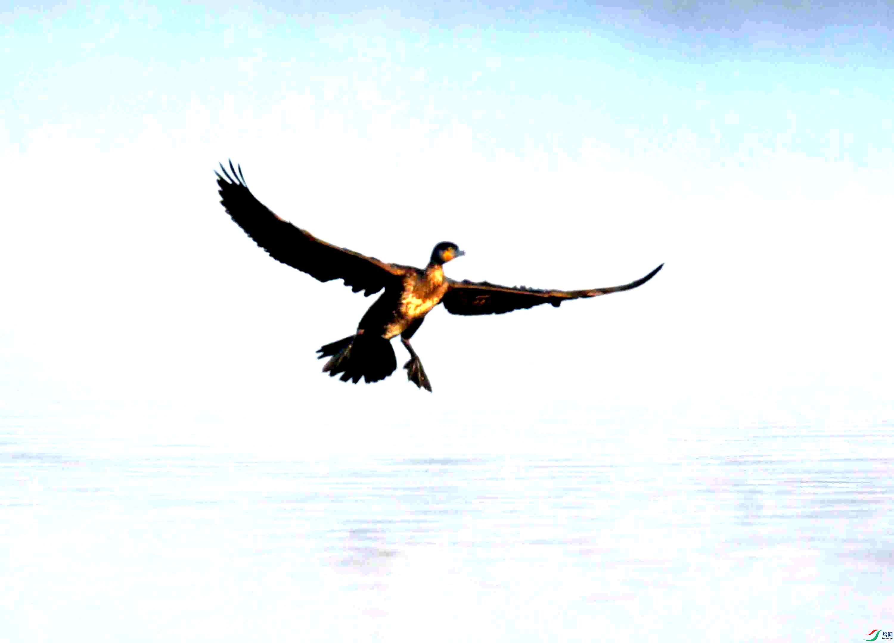 DSC_1638.JPG